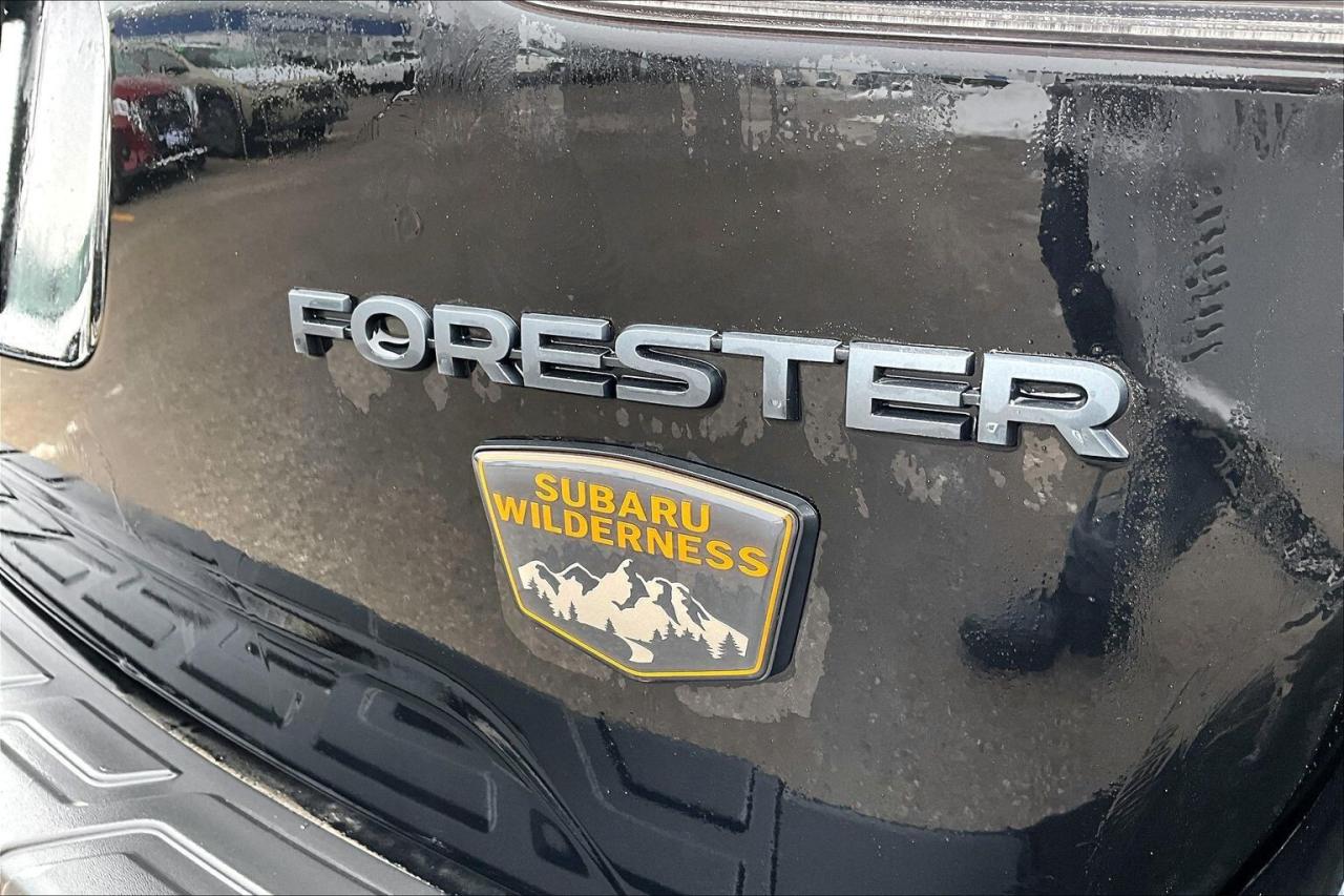 2024 Subaru Forester WILDERNESS AWD   HEATED SEAT/STEER   PANO SUNROOF Photo