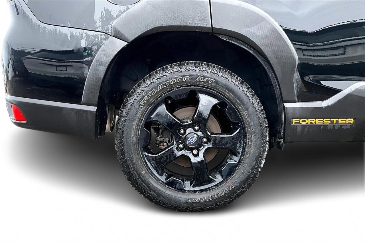 2024 Subaru Forester WILDERNESS AWD   HEATED SEAT/STEER   PANO SUNROOF Photo