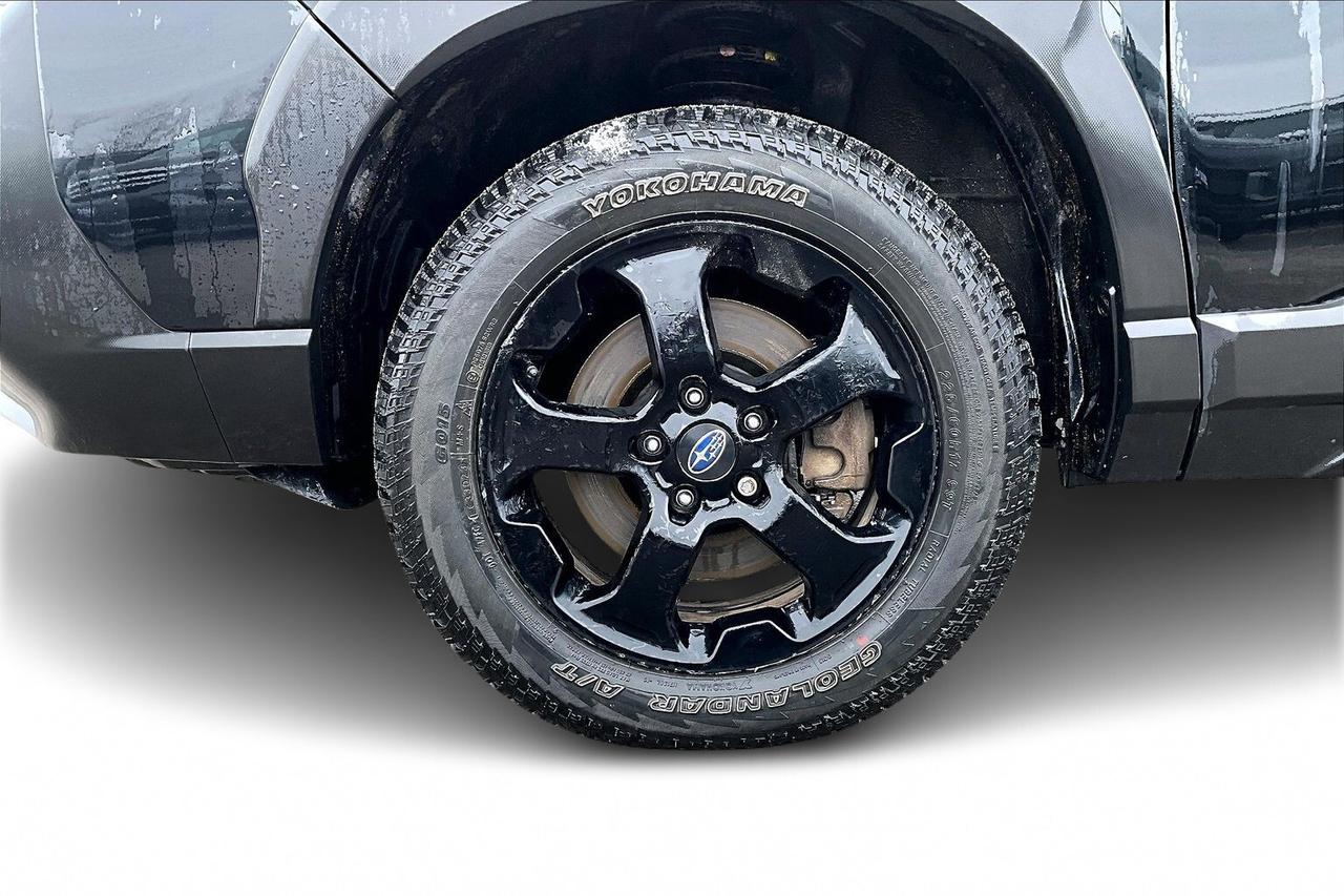 2024 Subaru Forester WILDERNESS AWD   HEATED SEAT/STEER   PANO SUNROOF Photo