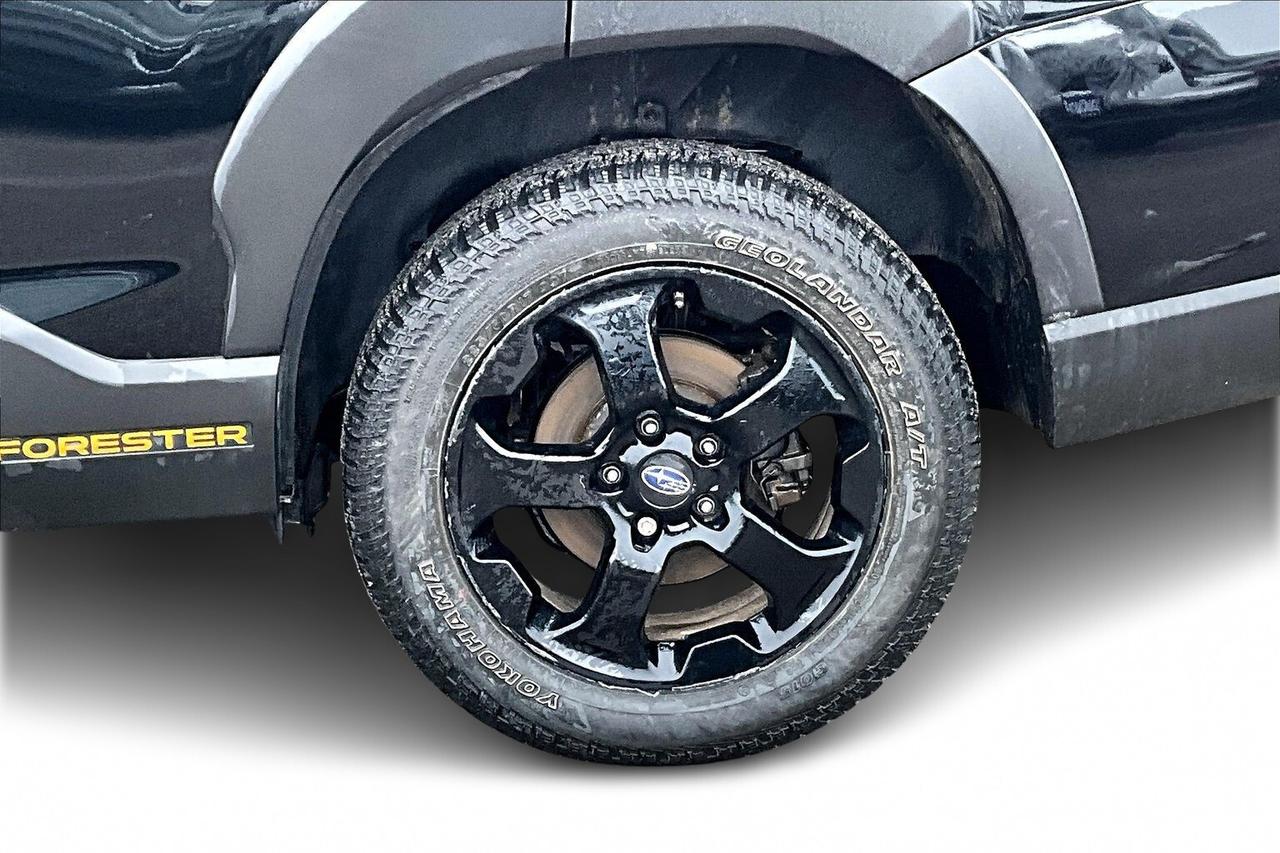 2024 Subaru Forester WILDERNESS AWD   HEATED SEAT/STEER   PANO SUNROOF Photo