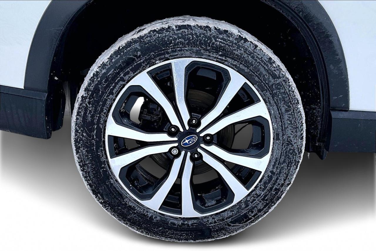 2024 Subaru Forester LIMITED AWD   NAVIGATION   LEATHER   PANO SUNROOF Photo