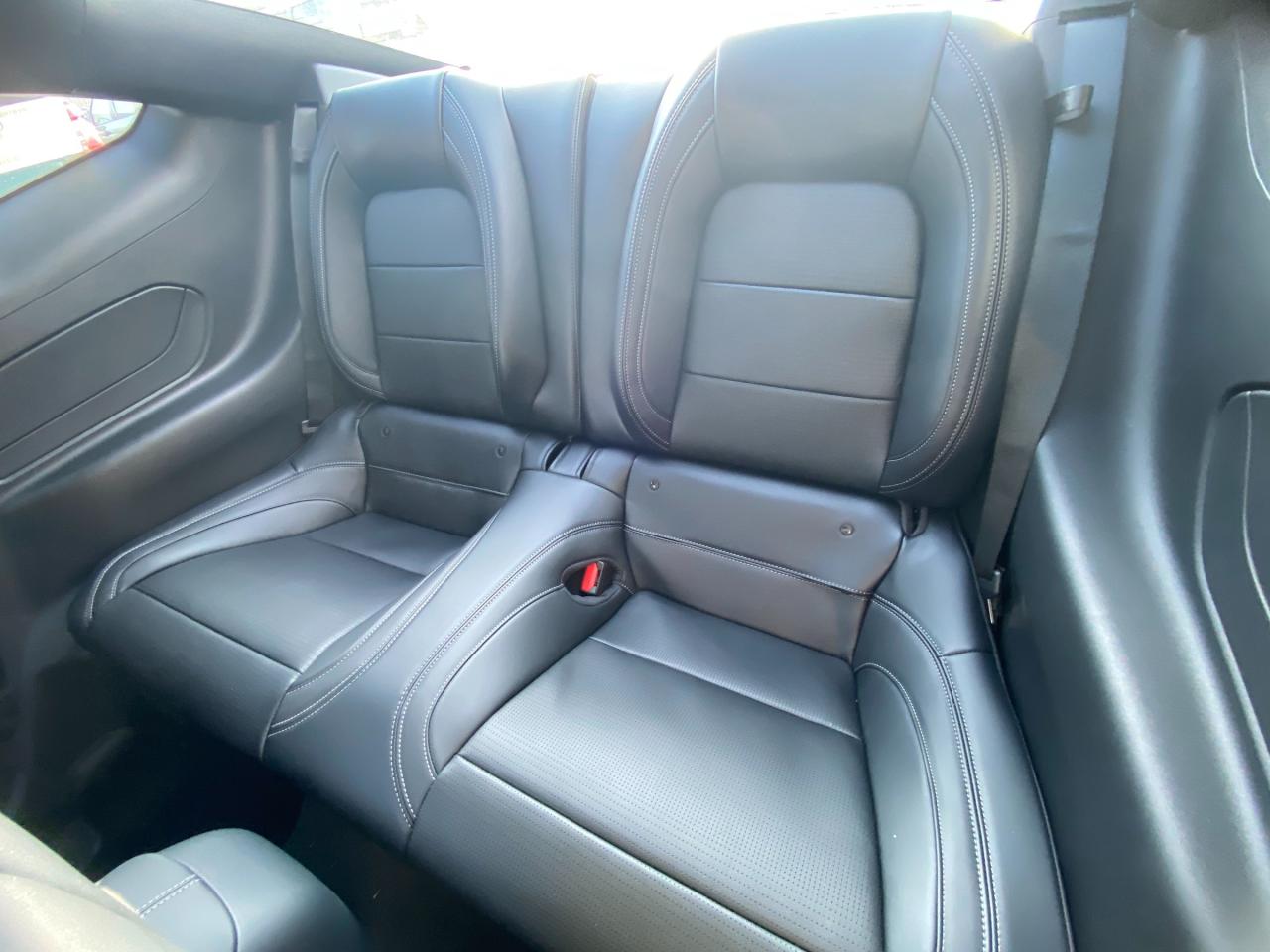 2026 Ford Mustang  Photo