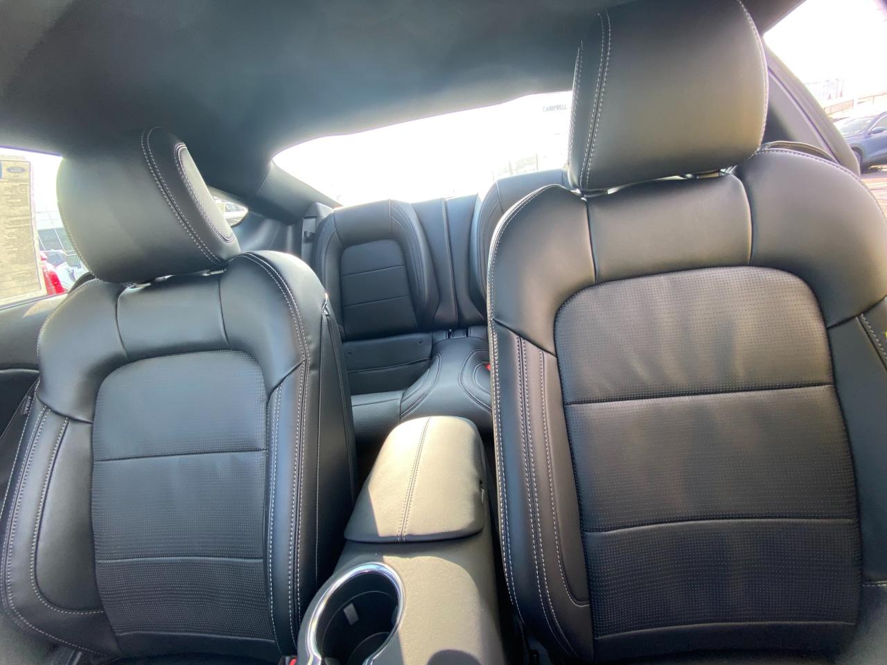 2026 Ford Mustang  Photo