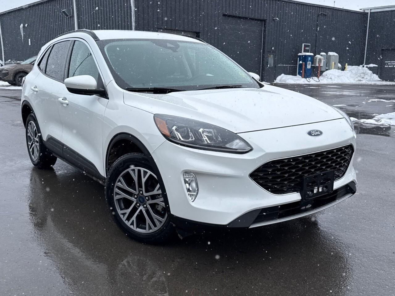 2021 Ford Escape SEL   AWD   COPILOT 360   NAV Photo2