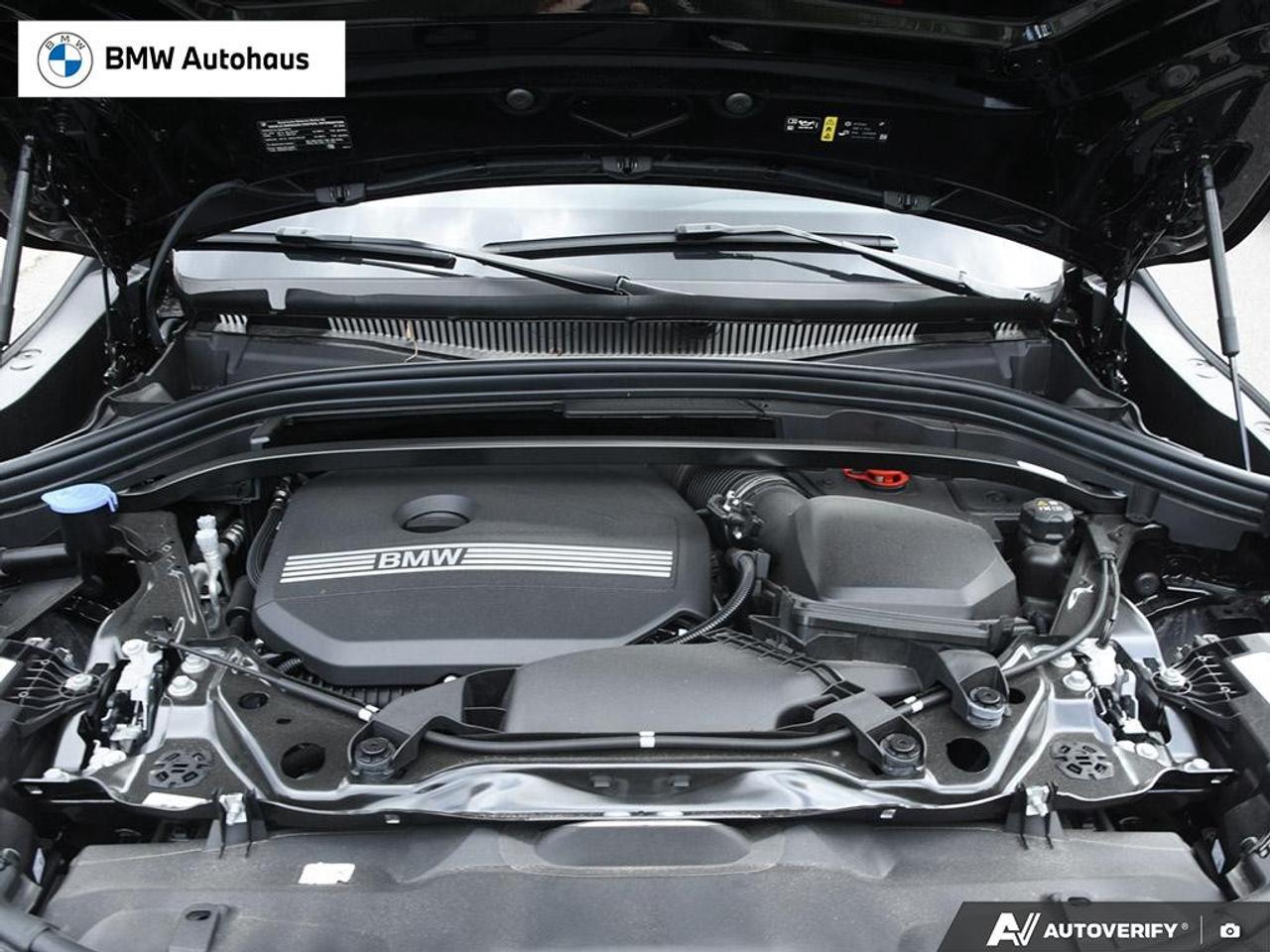 2026 BMW X2 xDrive28i Sports Activity Coupe Photo