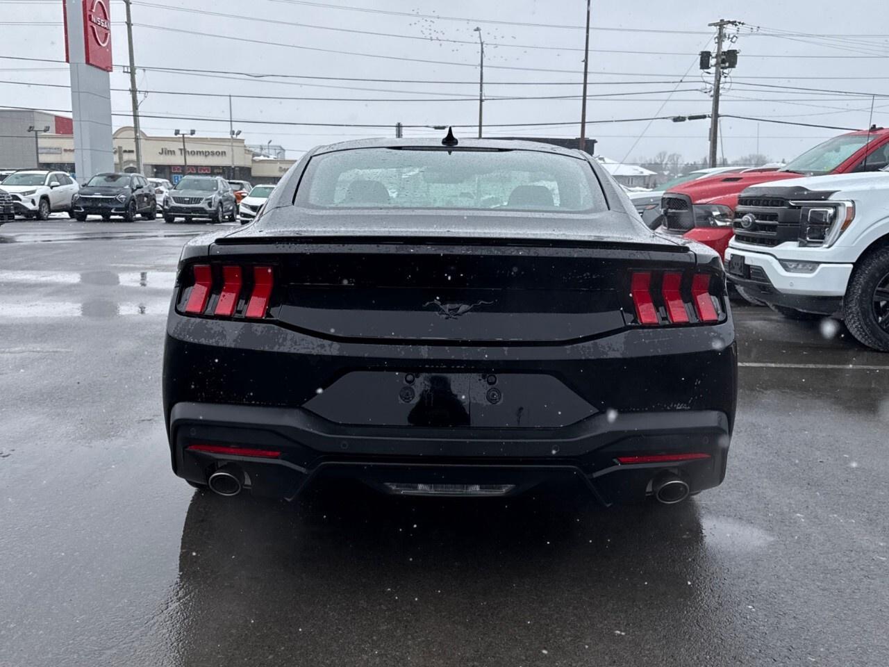 2024 Ford Mustang NITE PONY PKG Photo