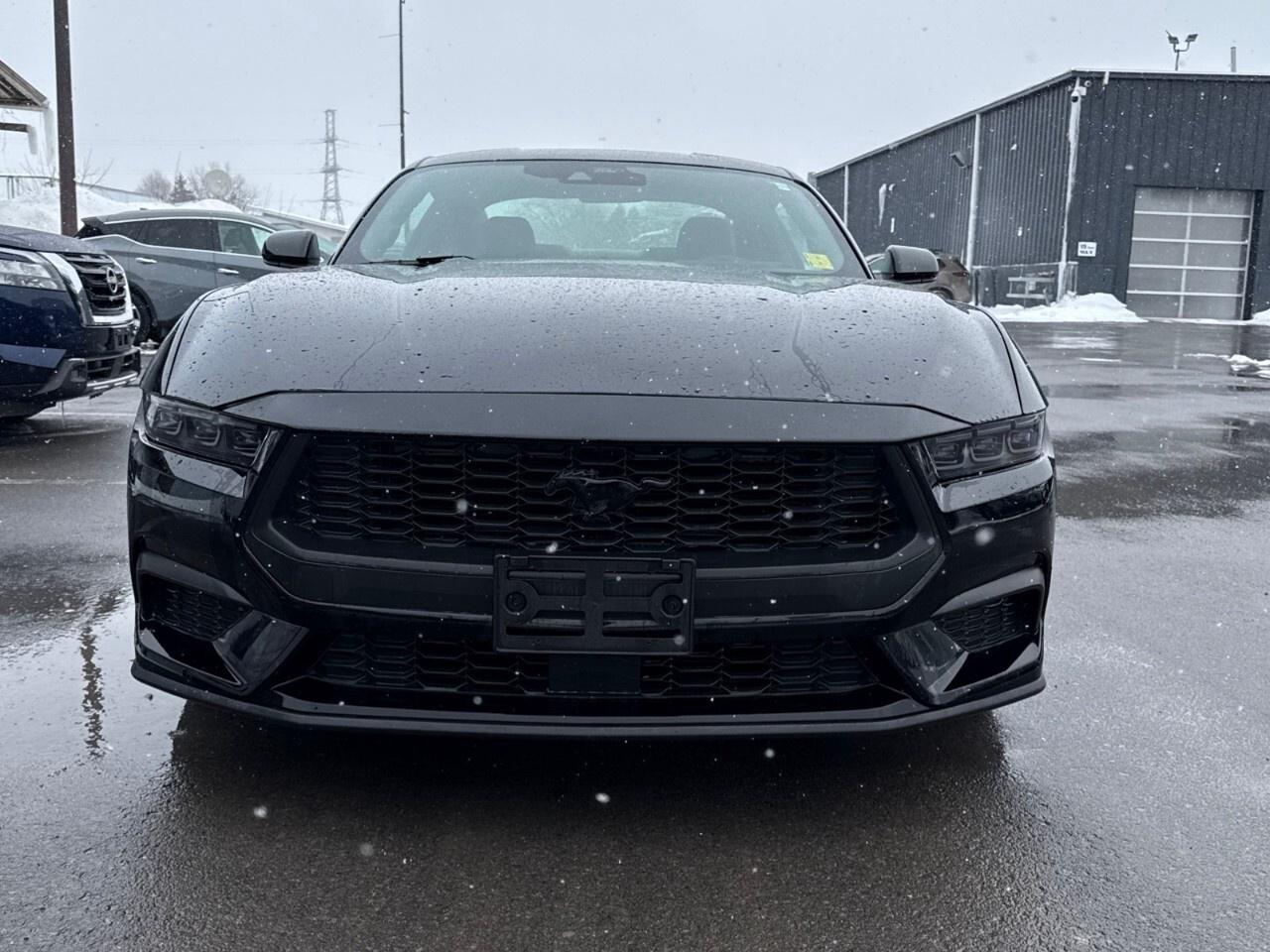 2024 Ford Mustang NITE PONY PKG Photo