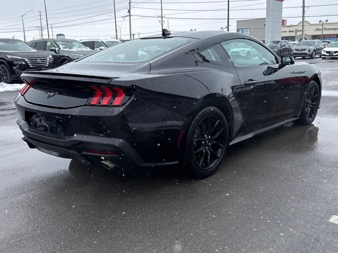 2024 Ford Mustang NITE PONY PKG Photo