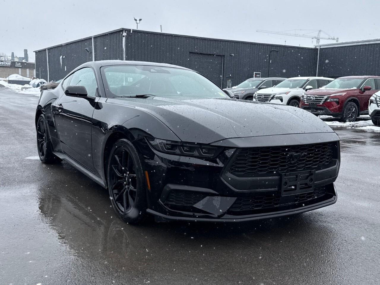 2024 Ford Mustang NITE PONY PKG Photo