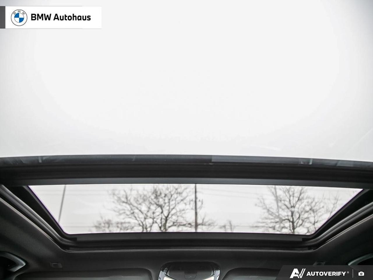 2022 BMW X5 xDrive40i Sports Activity Vehicle Photo