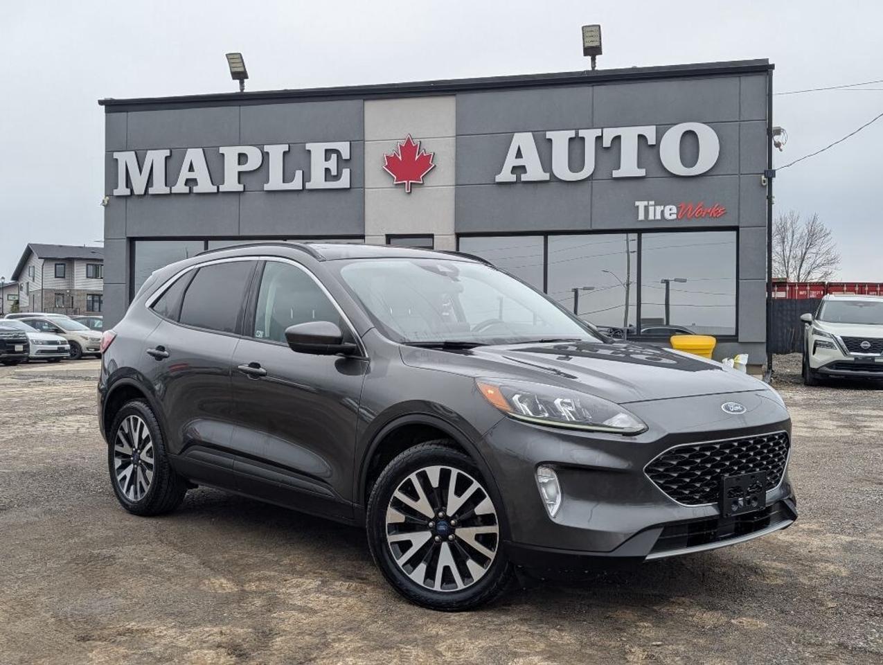 2020 Ford Escape SEL AWD   NAV   LEATHER   PANO ROOF   CAMERA Photo