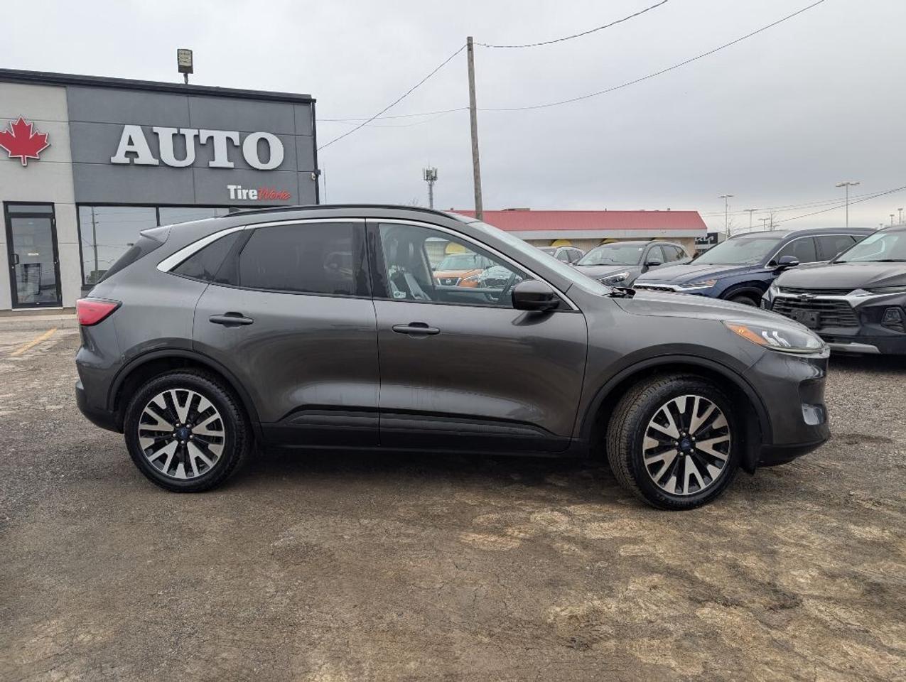 2020 Ford Escape SEL AWD   NAV   LEATHER   PANO ROOF   CAMERA Photo4