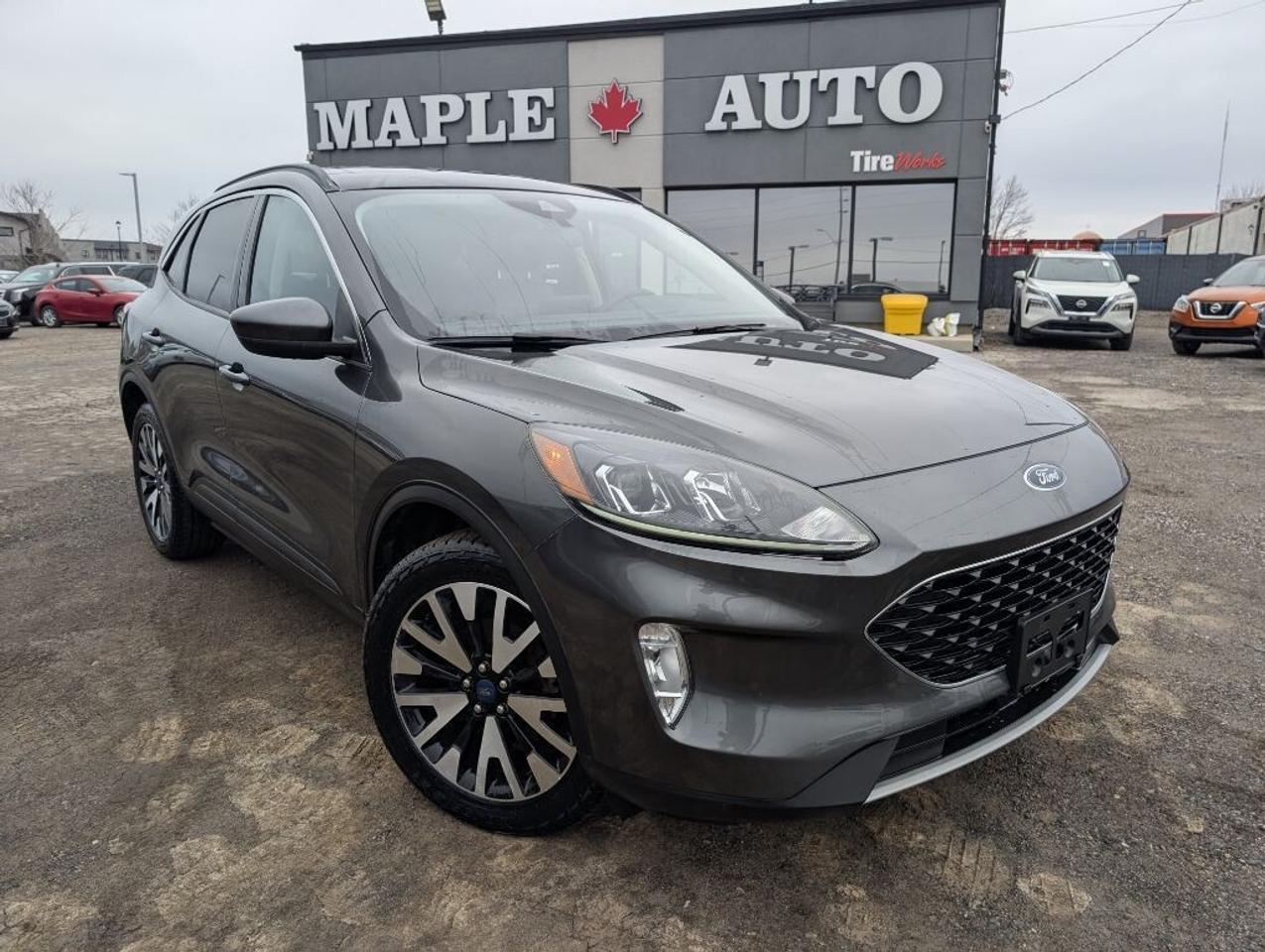 2020 Ford Escape SEL AWD   NAV   LEATHER   PANO ROOF   CAMERA Photo