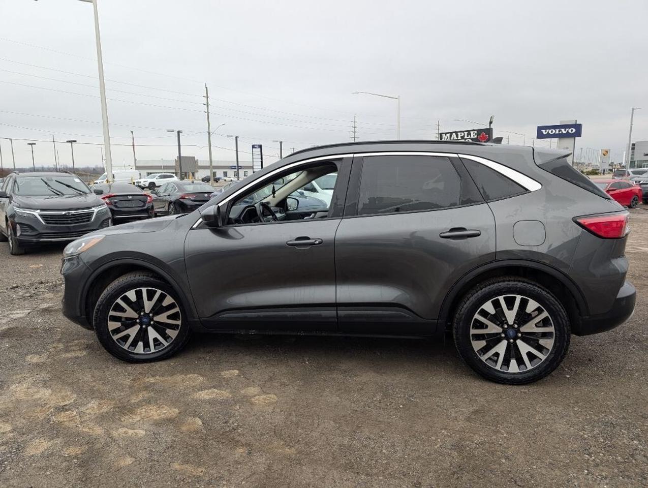 2020 Ford Escape SEL AWD   NAV   LEATHER   PANO ROOF   CAMERA Photo