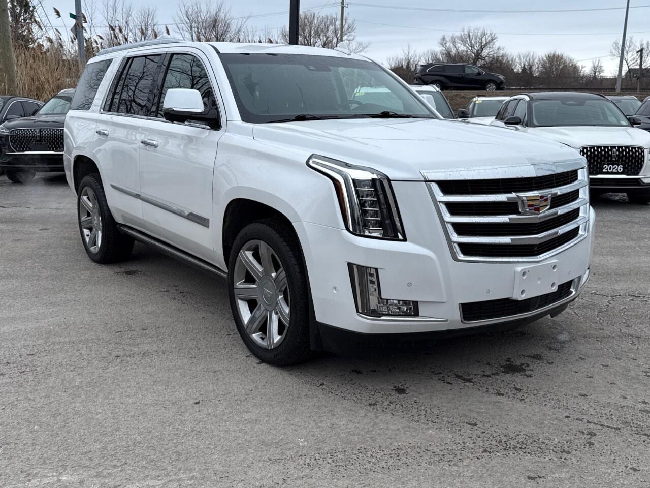 2019 Cadillac Escalade PREMIUM LUXURY   MOONROOF Photo