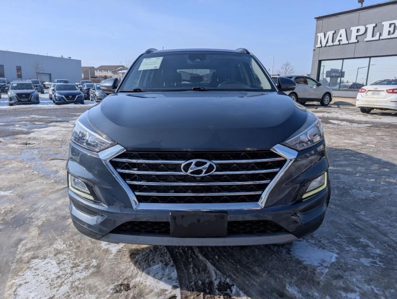 2019 Hyundai Tucson Luxury AWD   LEATHER   SUNROOF   CAMERA Photo