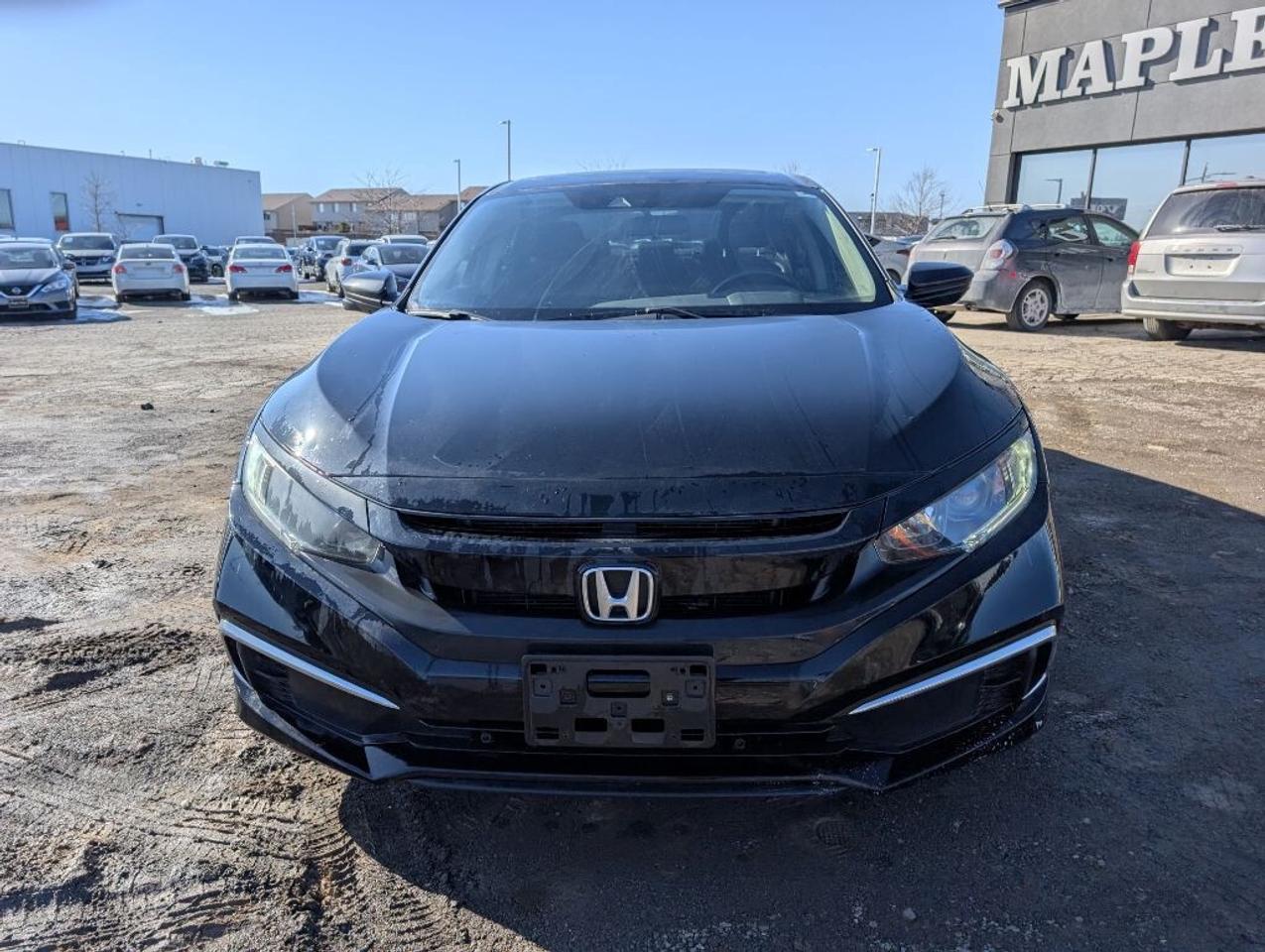 2019 Honda Civic EX   SUNROOF   CAMERA   HTD SEATS Photo2