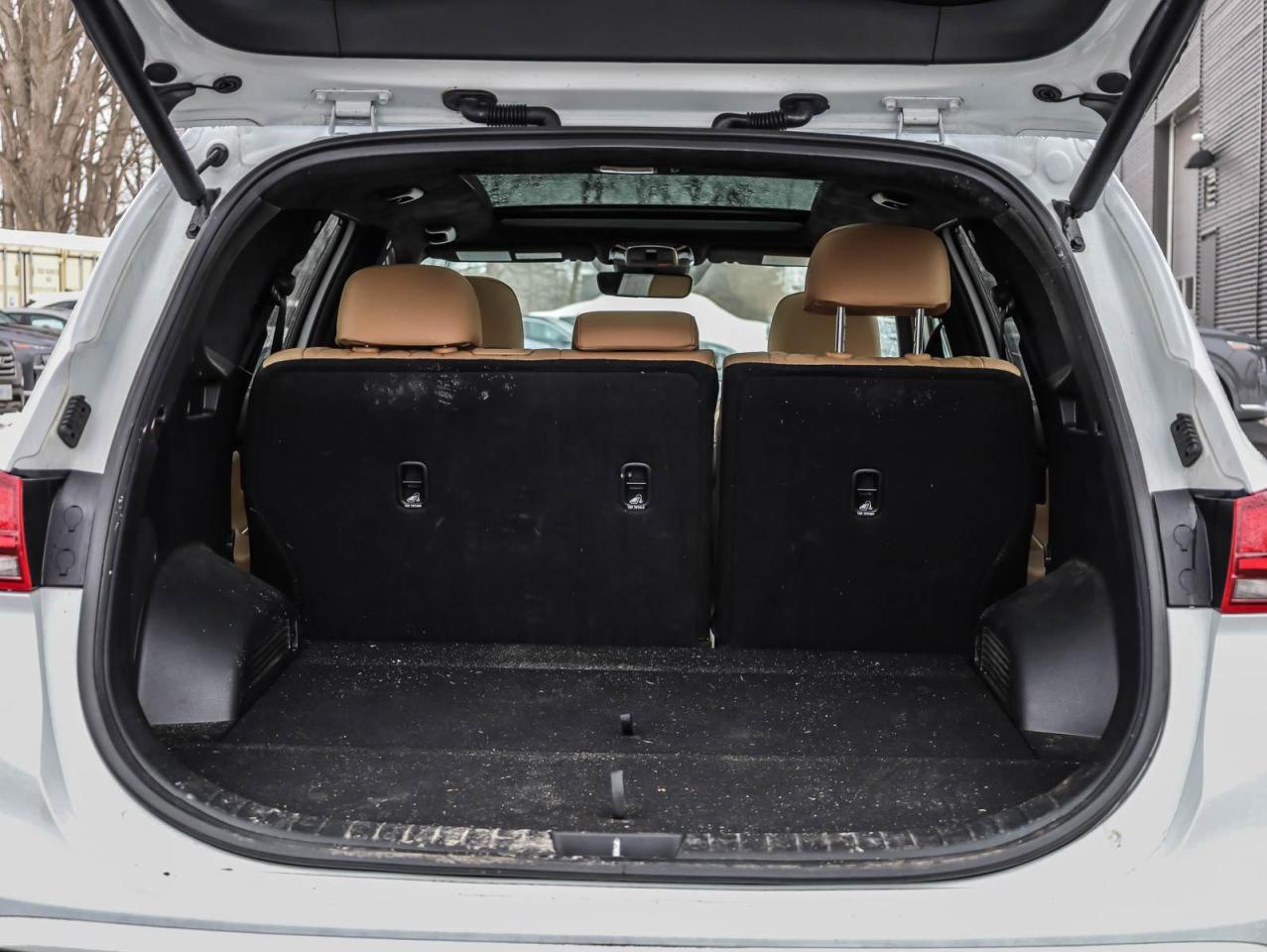 2023 Hyundai Santa Fe Ultimate Calligraphy 4dr All-Wheel Drive Photo