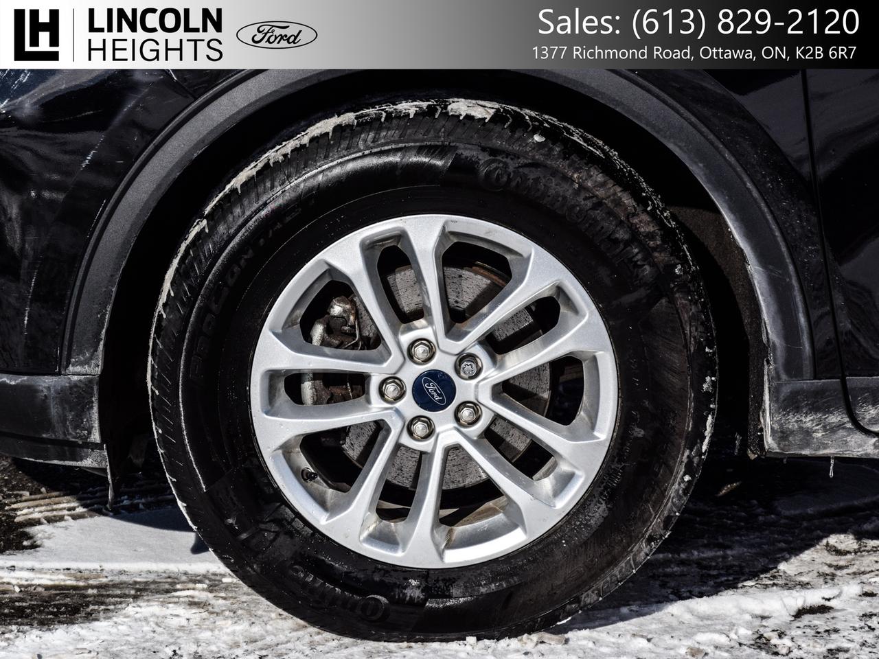 2022 Ford Escape SE AWD Photo