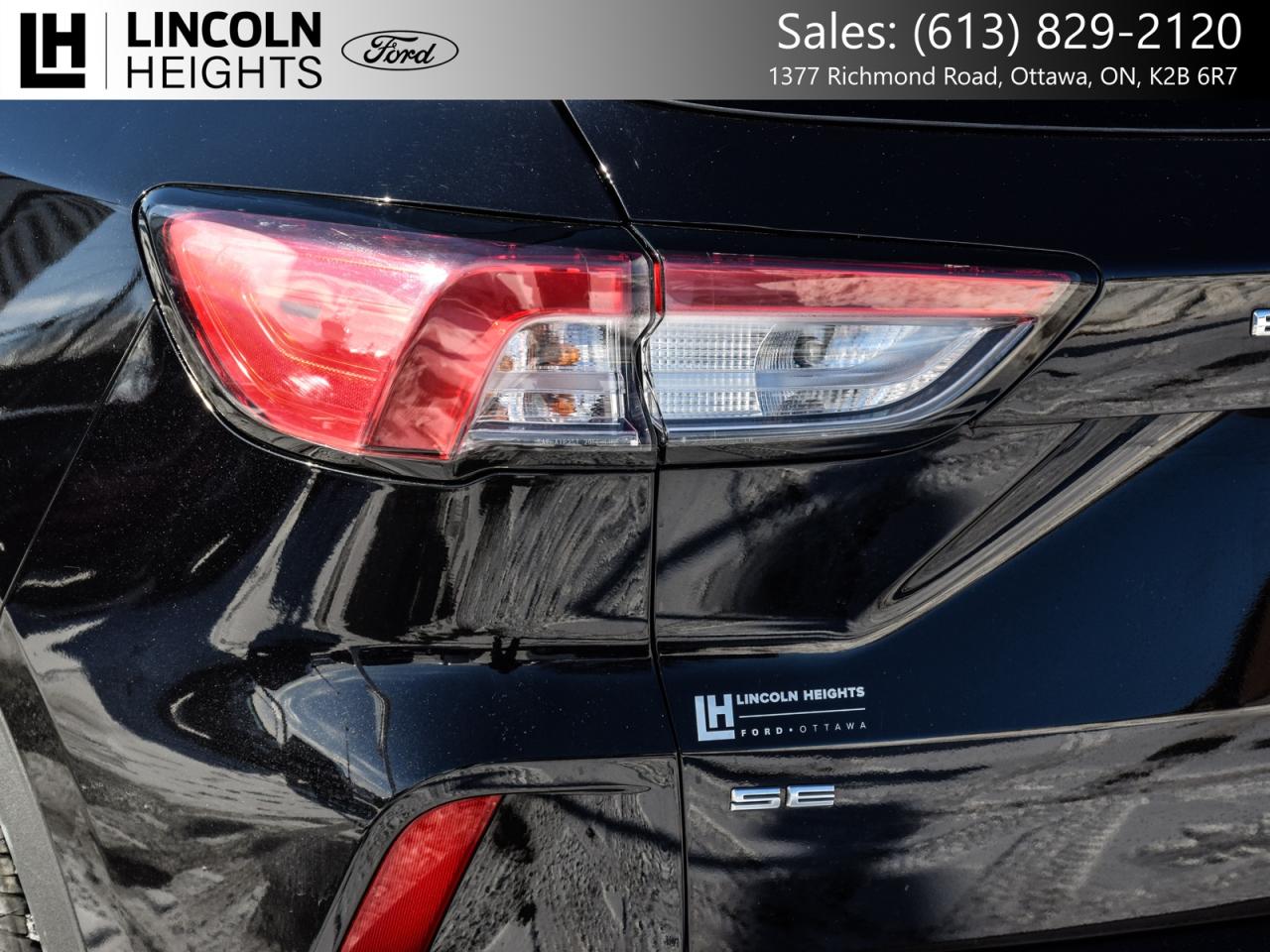 2022 Ford Escape SE AWD Photo