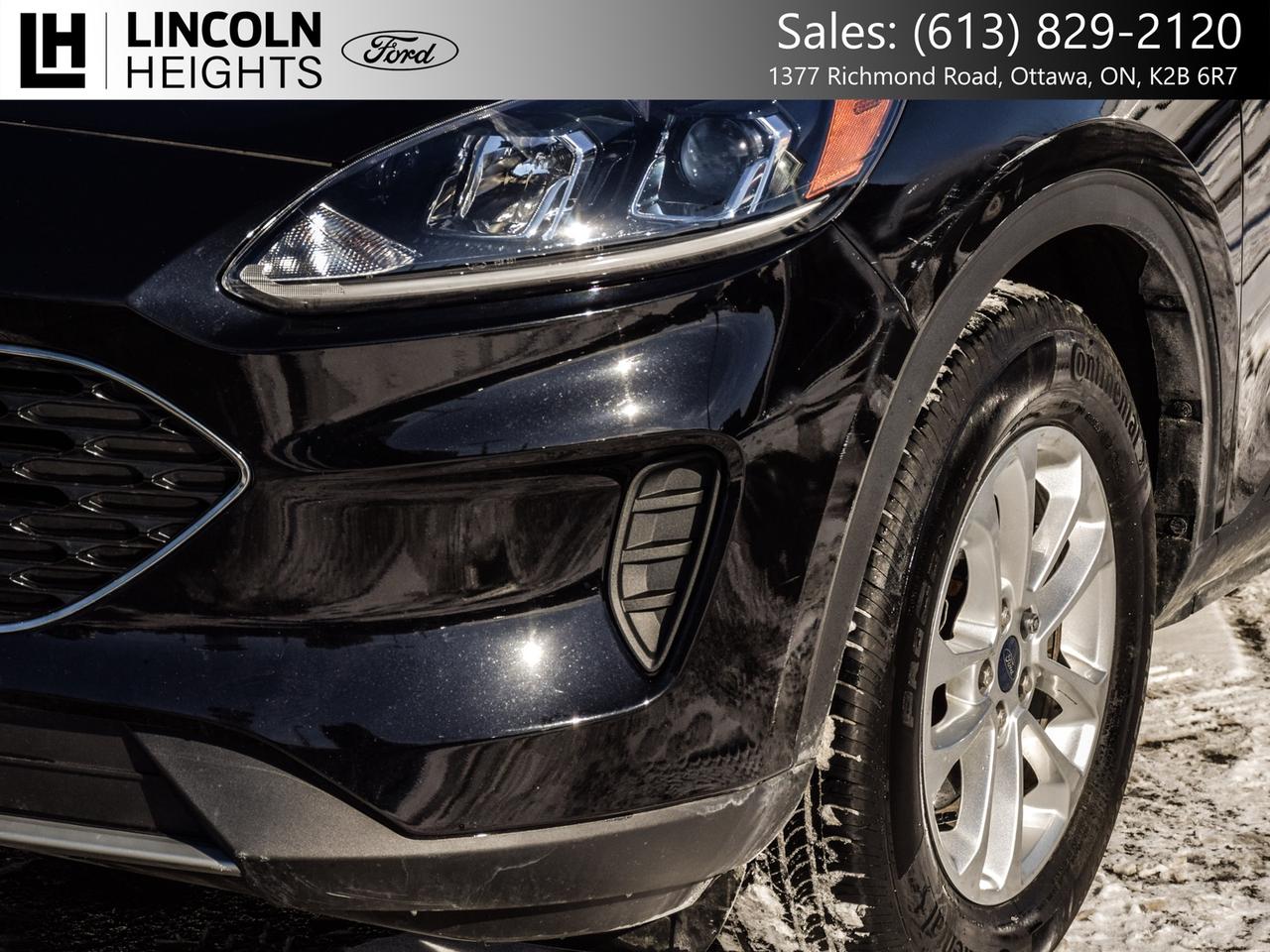 2022 Ford Escape SE AWD Photo