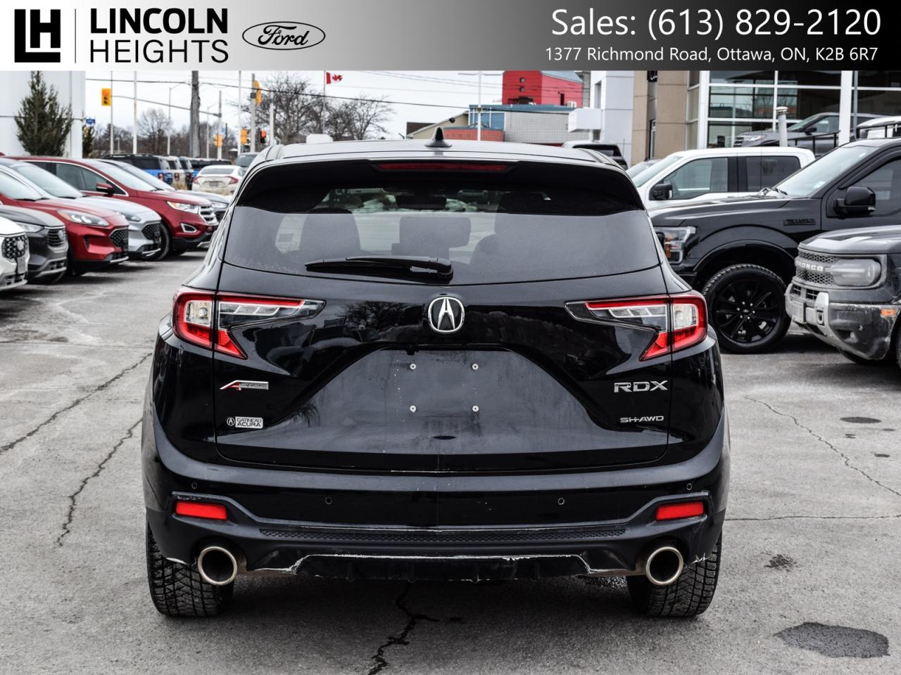 2024 Acura RDX SH-AWD Photo