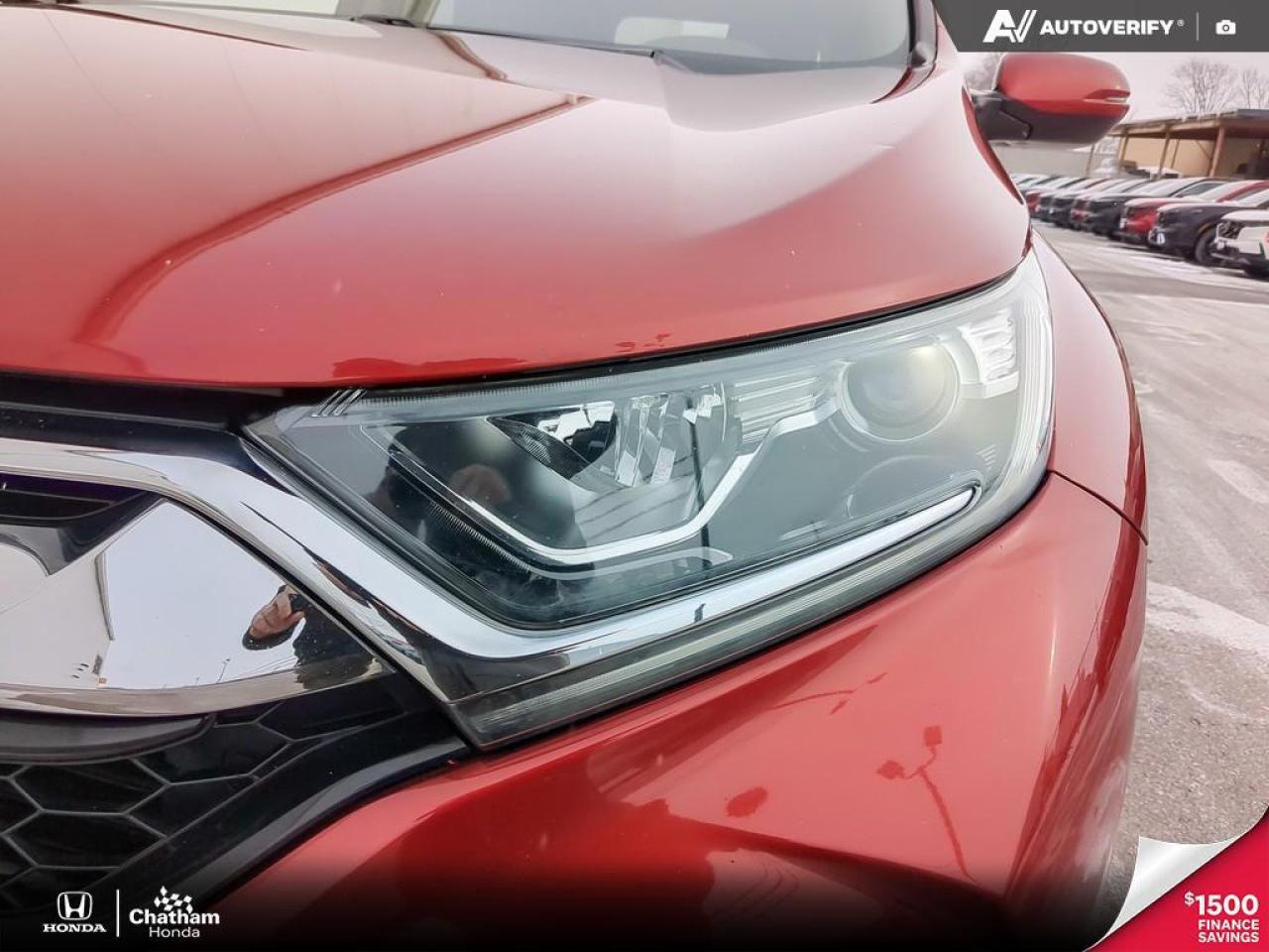 2019 Honda CR-V EXL Photo