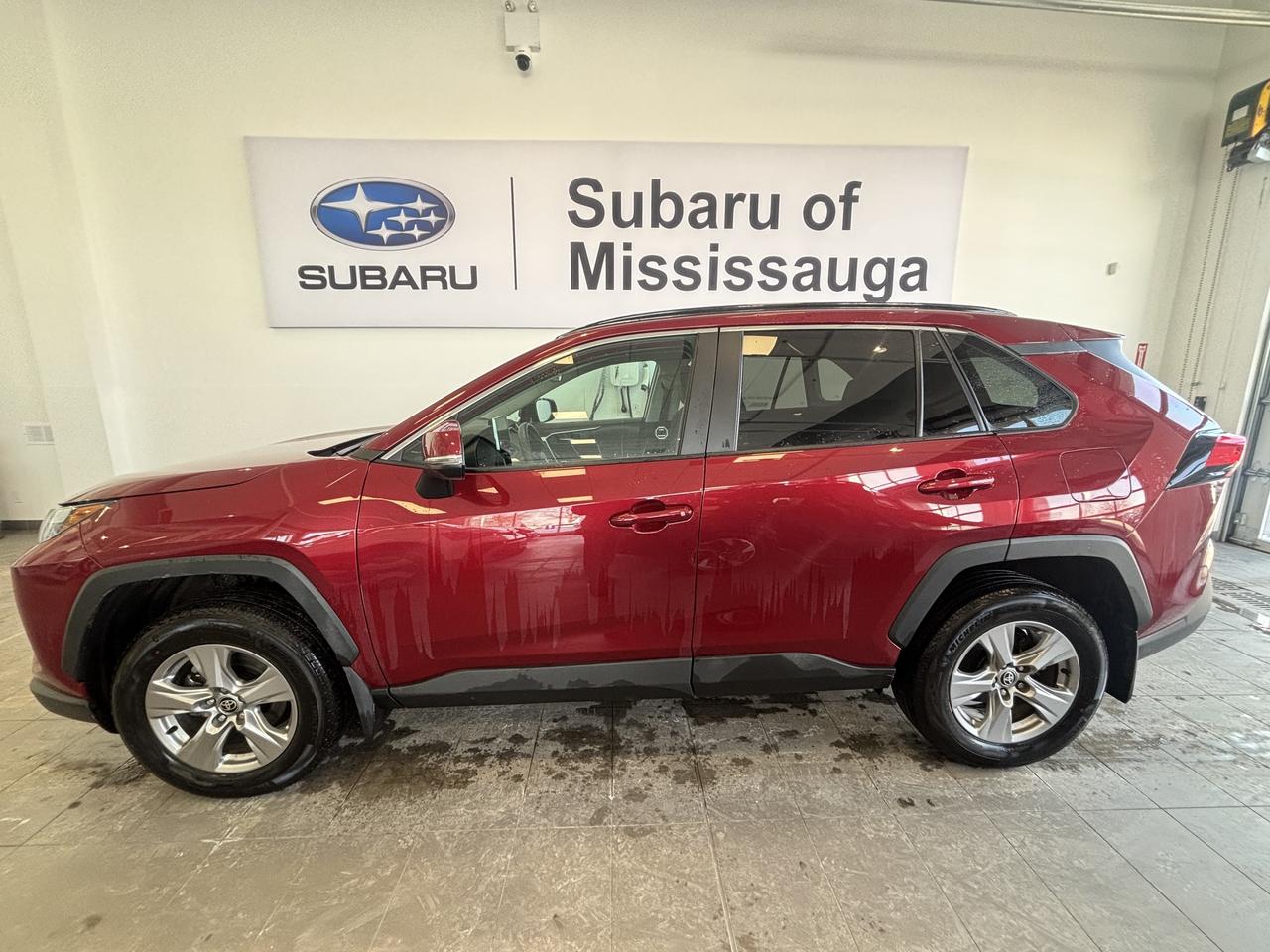 2025 Toyota RAV4 XLE   ONE OWNER   CLEAN CARFAX   SUNROOF   CARPLAY Photo3