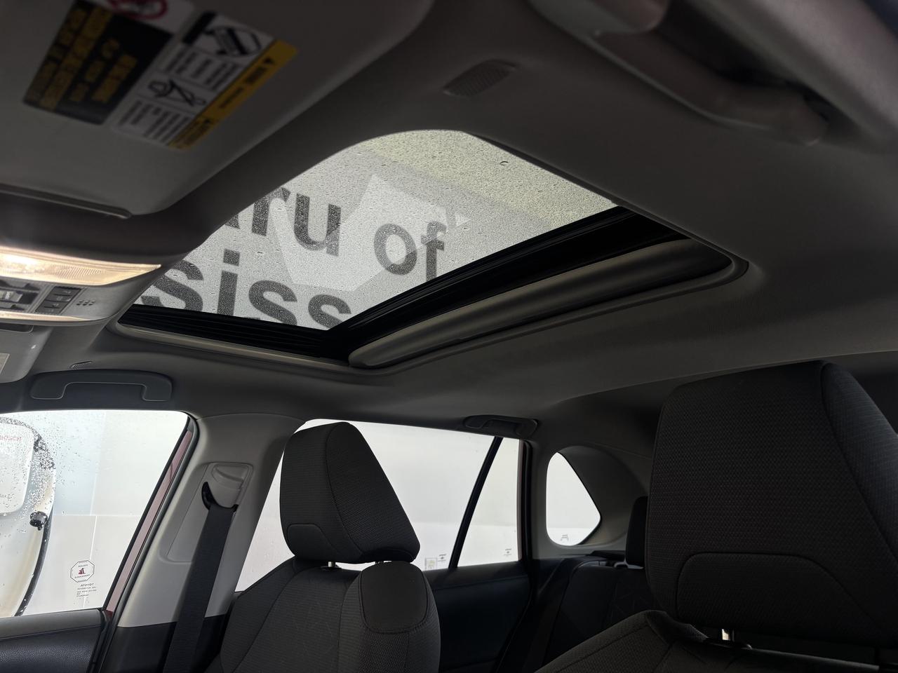 2025 Toyota RAV4 XLE   ONE OWNER   CLEAN CARFAX   SUNROOF   CARPLAY Photo