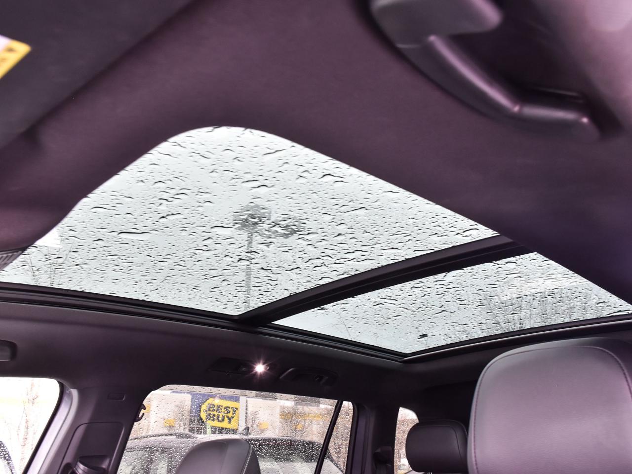 2022 Volkswagen Tiguan  Photo