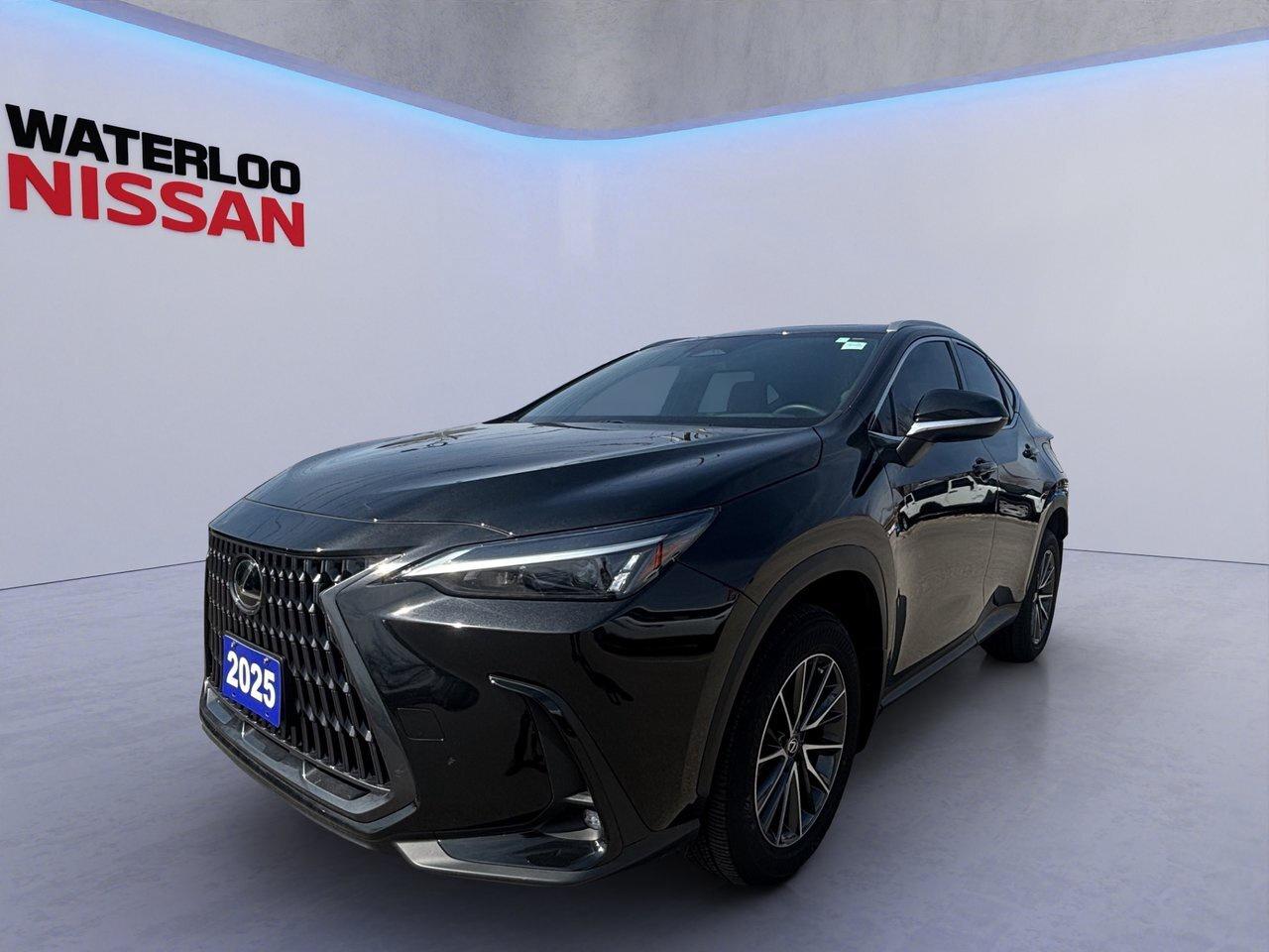 2025 Lexus NX NX 350 Photo