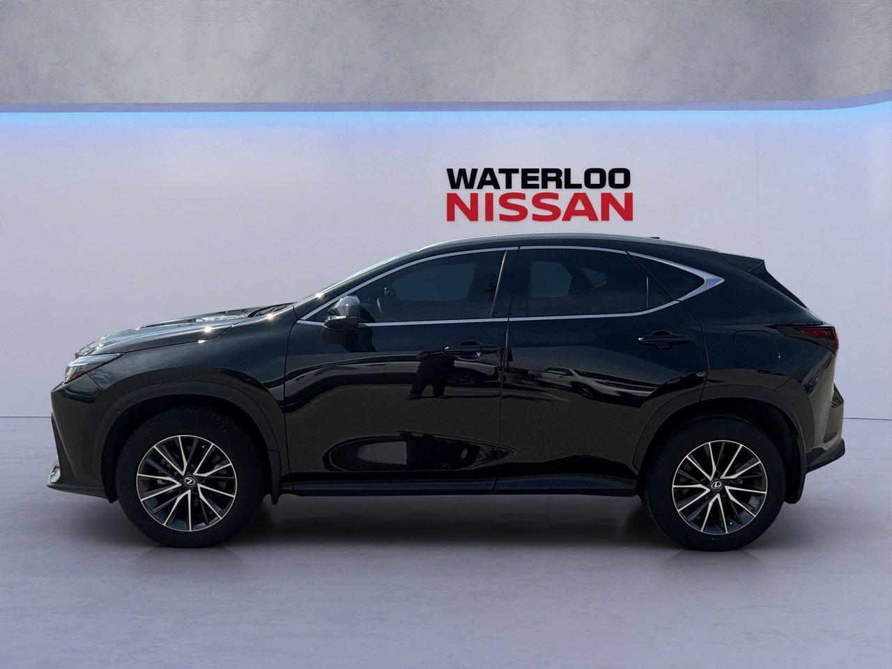 2025 Lexus NX NX 350 Photo