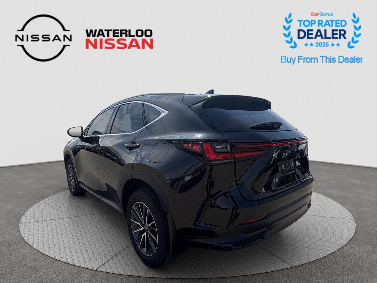 2025 Lexus NX NX 350 Photo