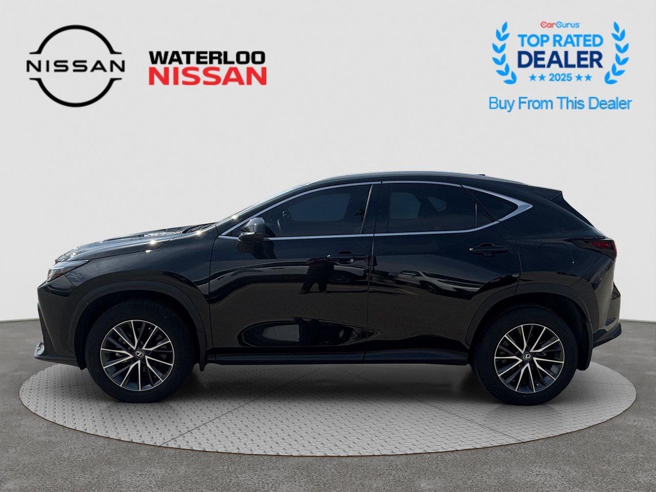 2025 Lexus NX NX 350 Photo
