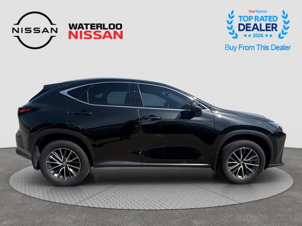 2025 Lexus NX NX 350 Photo
