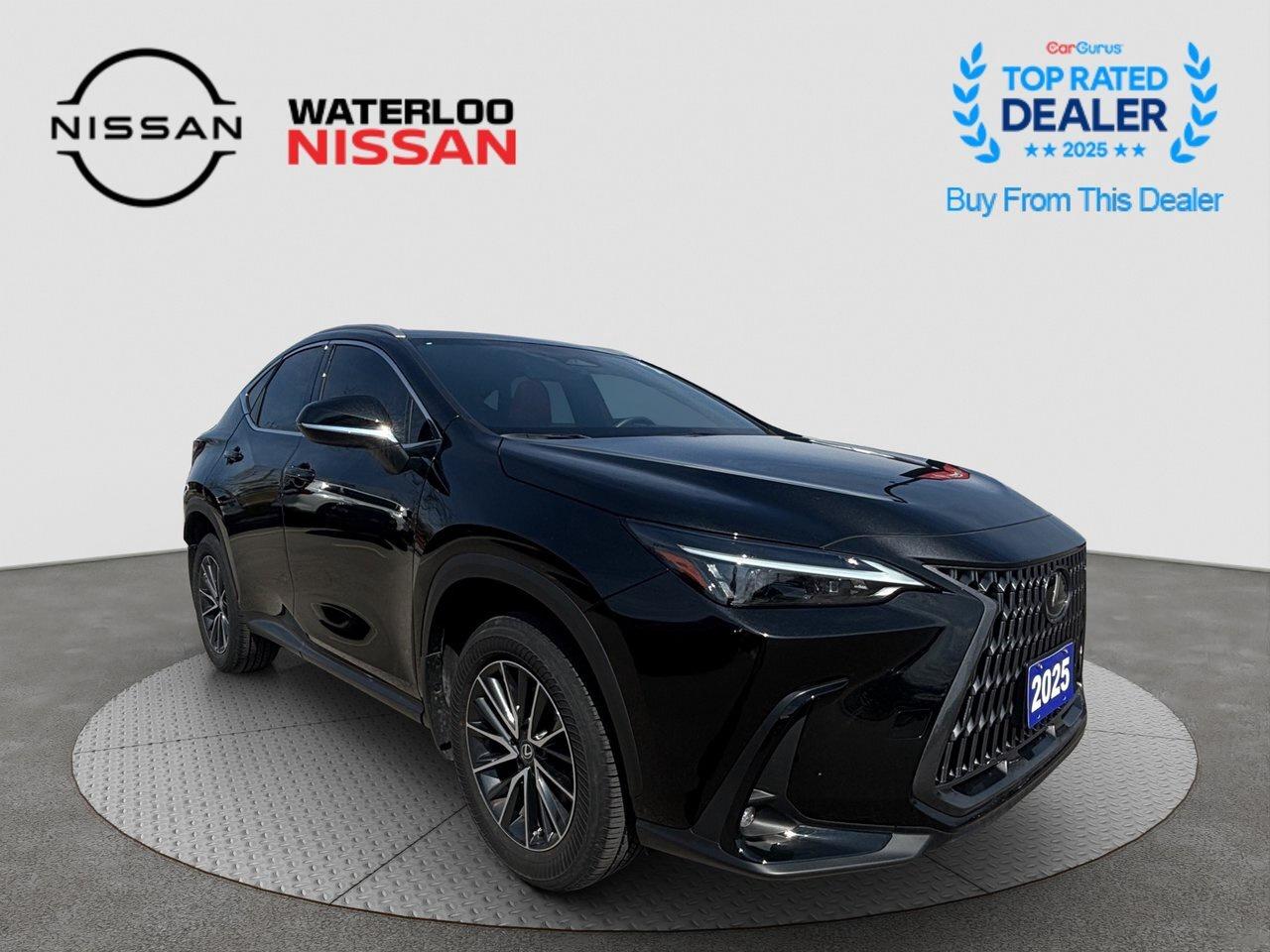 2025 Lexus NX NX 350 Photo