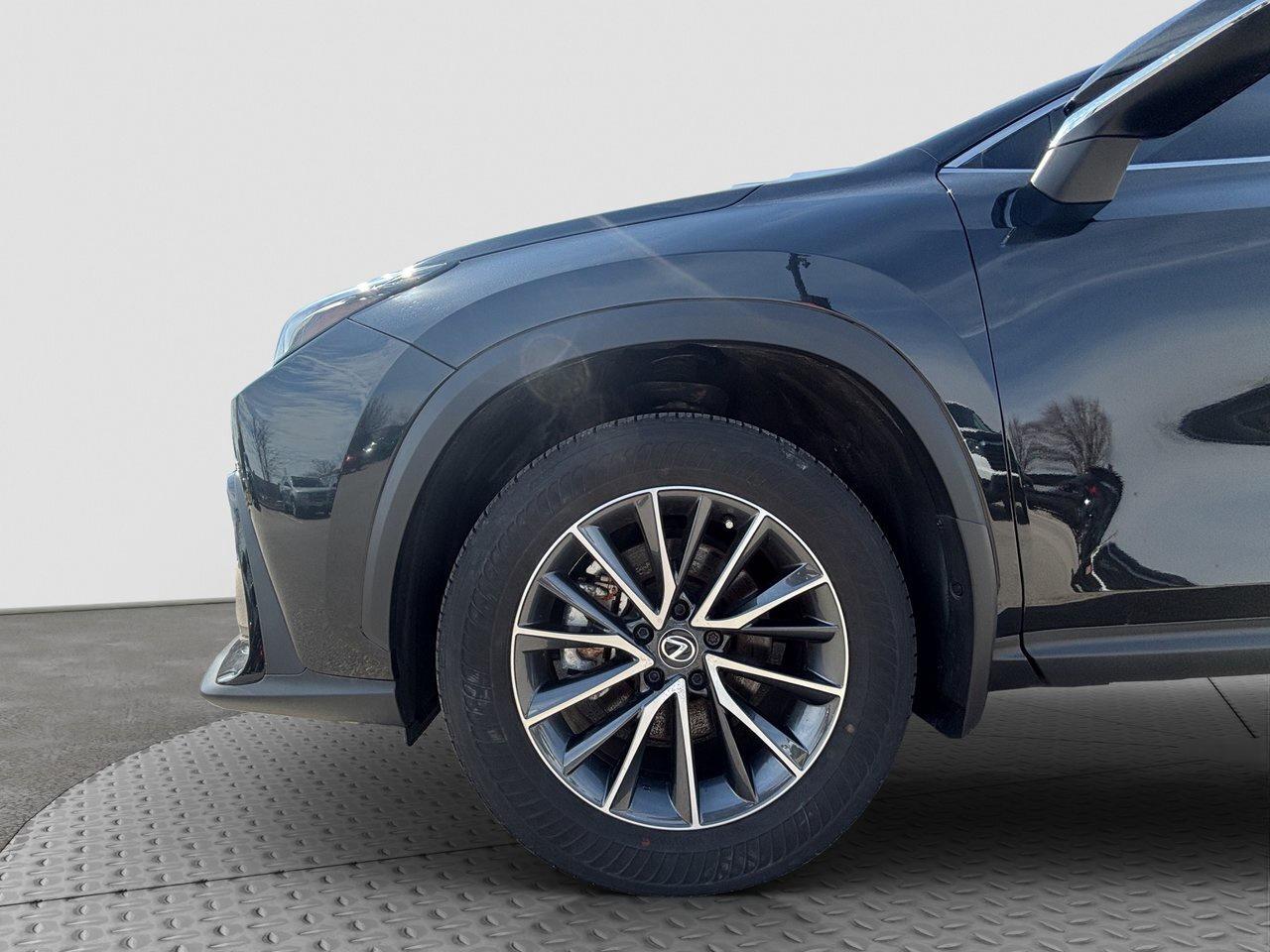 2025 Lexus NX NX 350 Photo