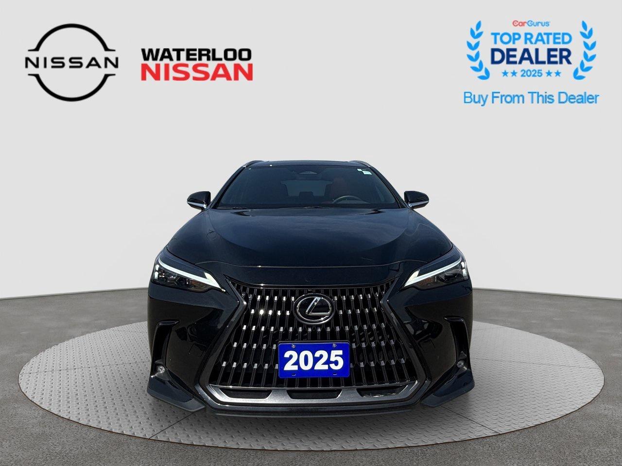 2025 Lexus NX NX 350 Photo