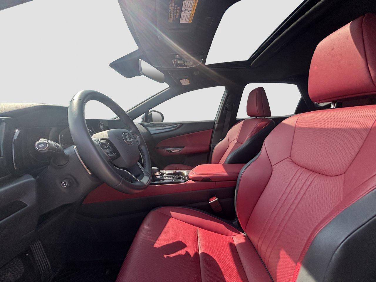 2025 Lexus NX NX 350 Photo