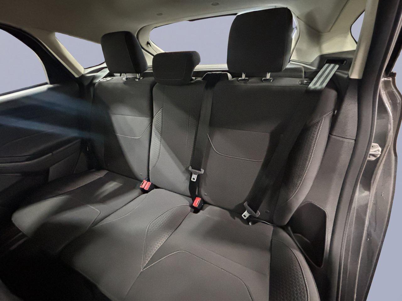 2015 Ford Focus SE Photo