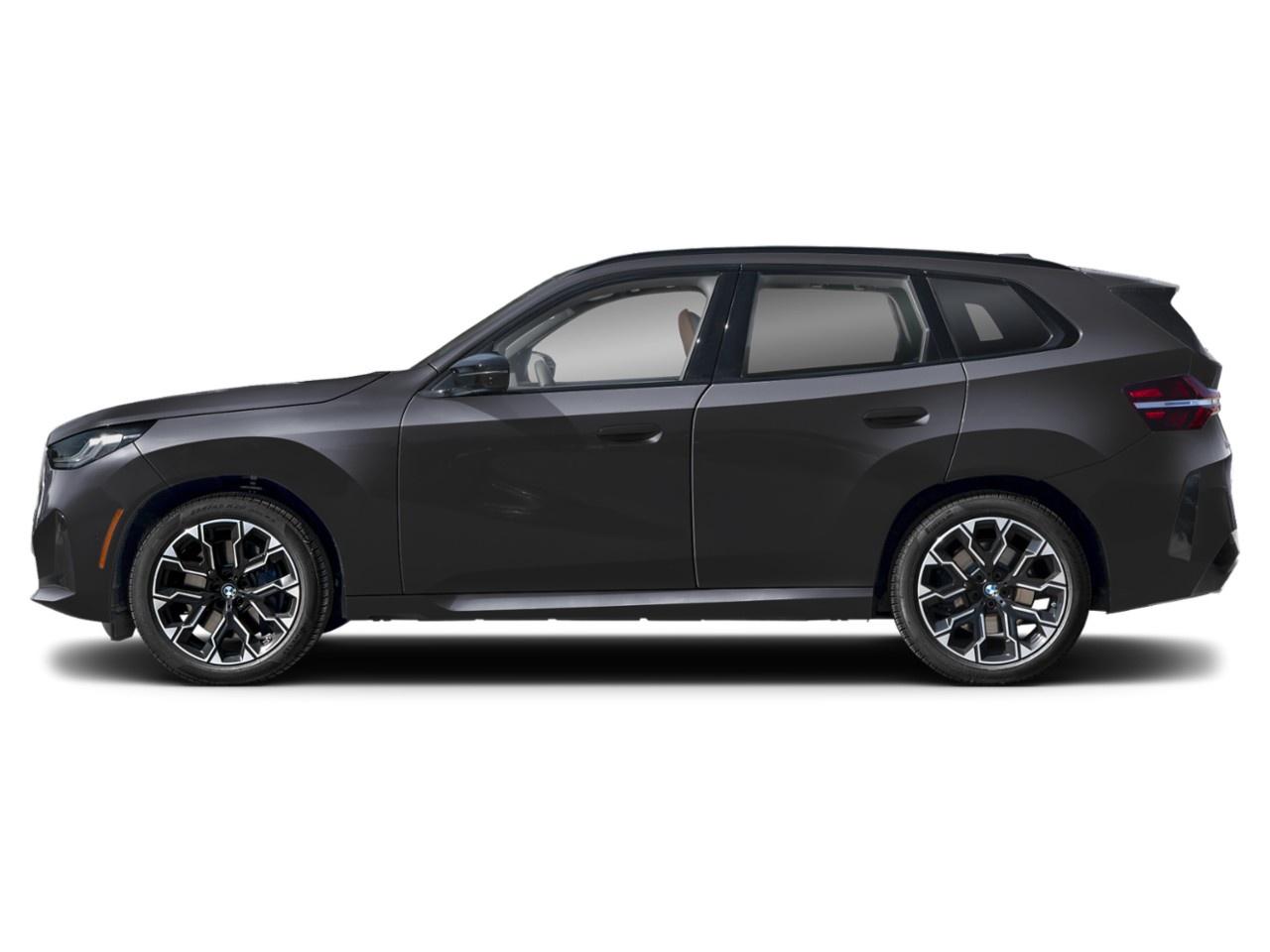 2026 BMW X3 Sports Activity Vehicle [73GP] Photo