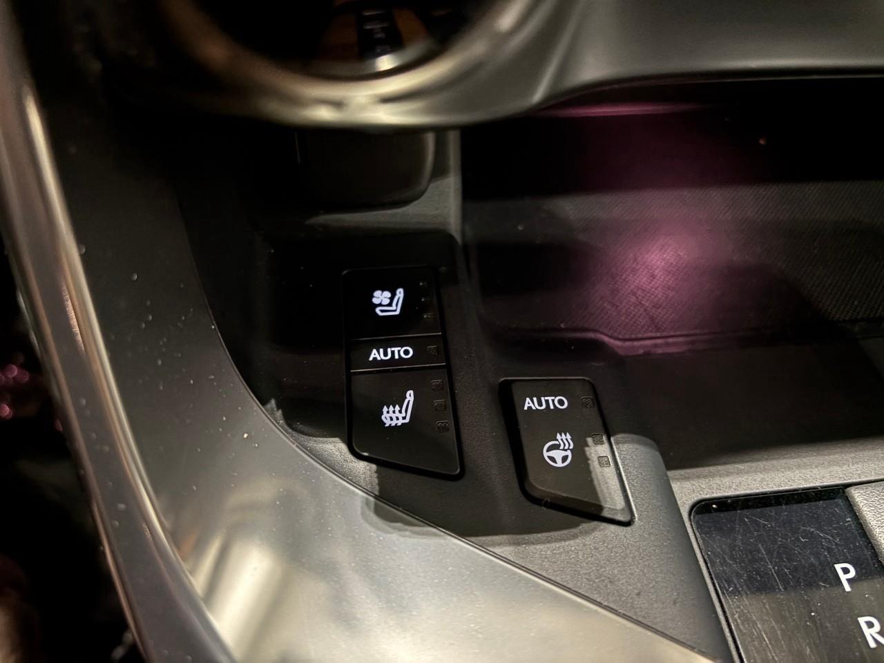 2025 Lexus LX 600  Photo