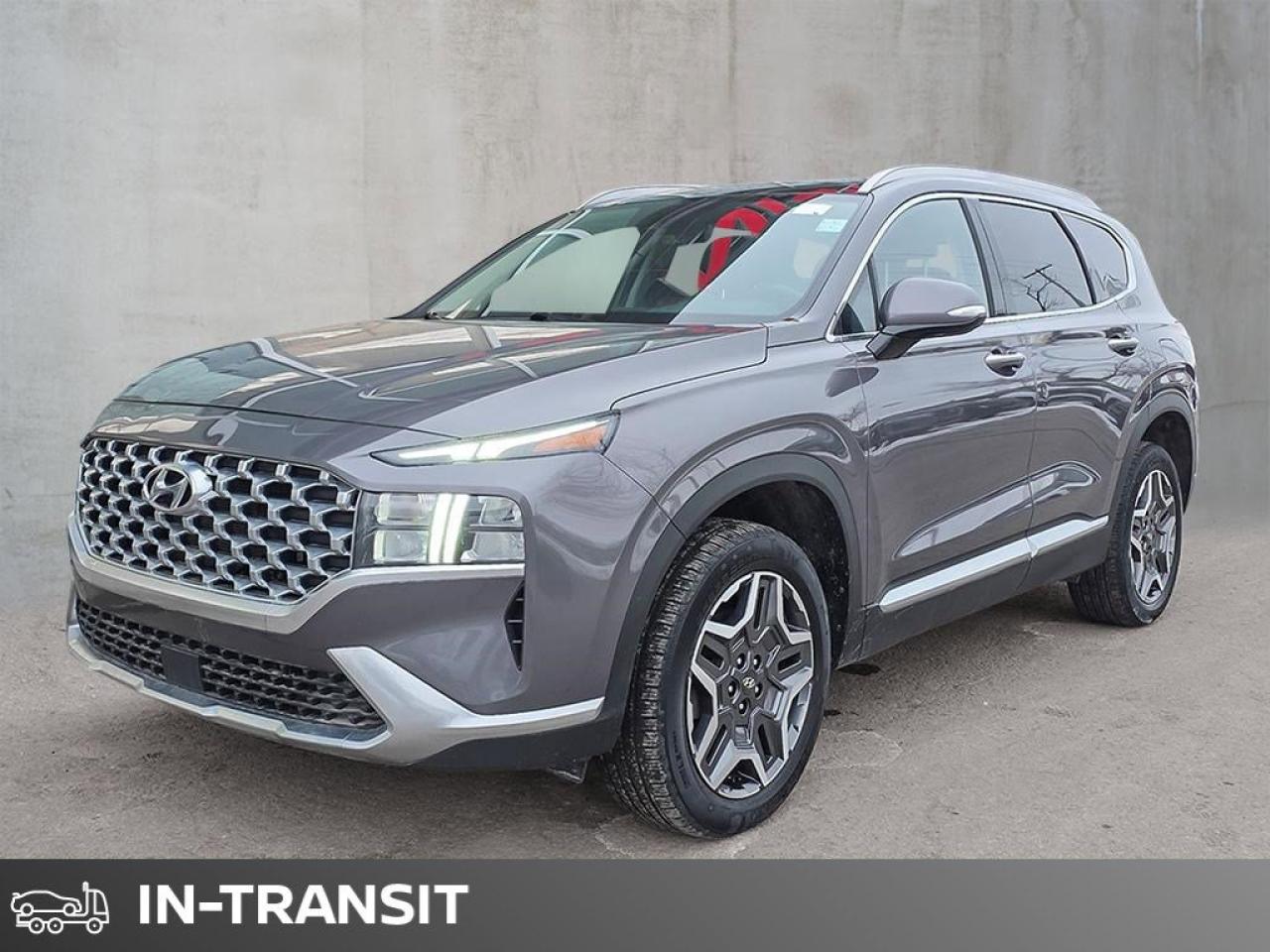 2023 Hyundai Santa Fe Hybrid Luxury Photo