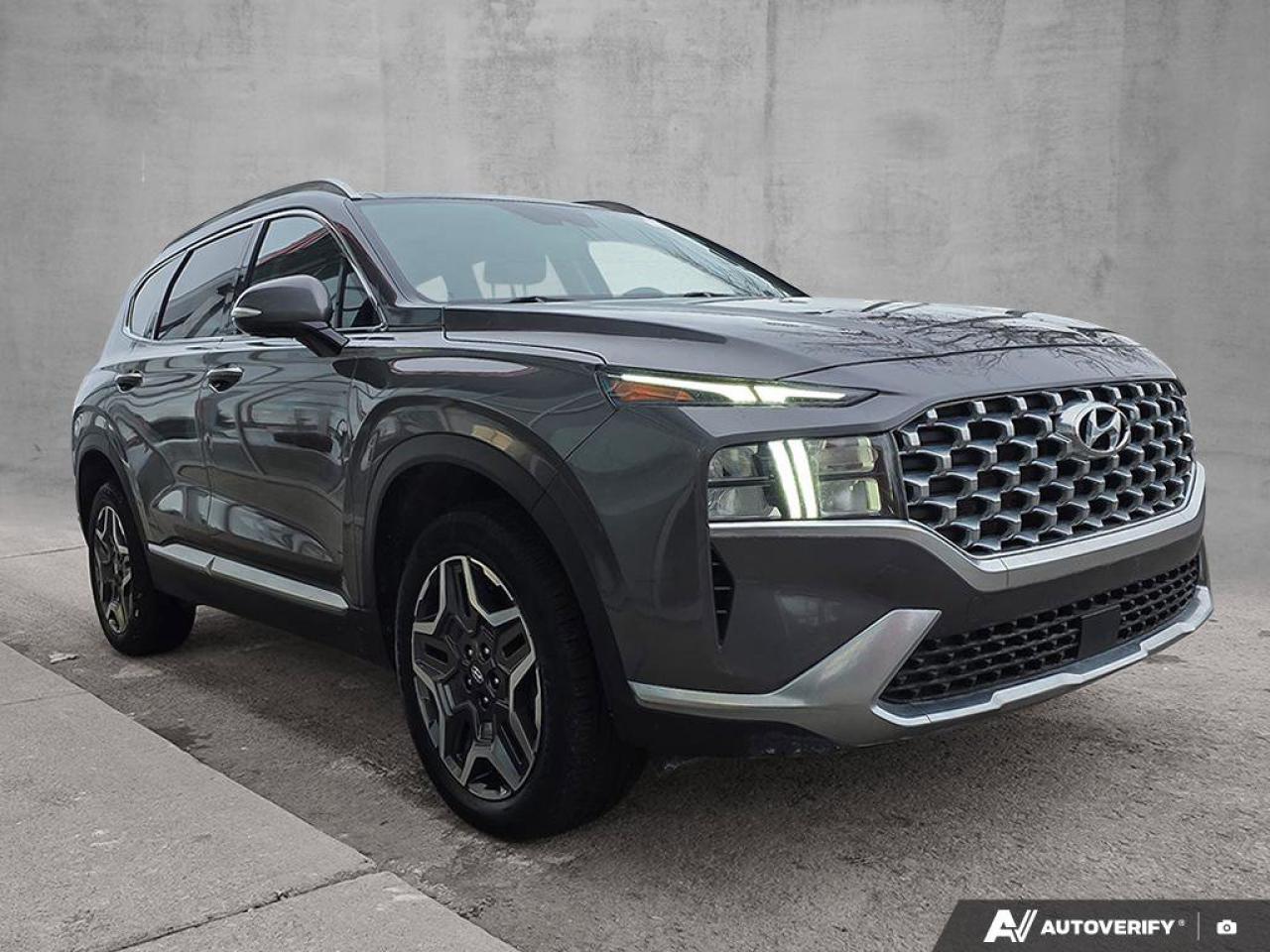 2023 Hyundai Santa Fe Hybrid Luxury Photo