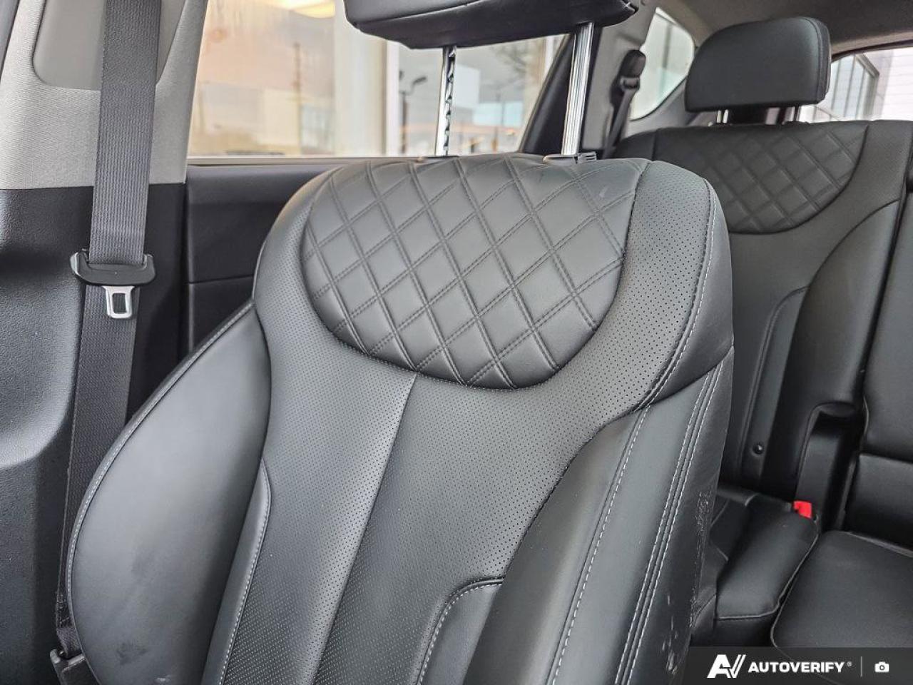 2023 Hyundai Santa Fe Hybrid Luxury Photo