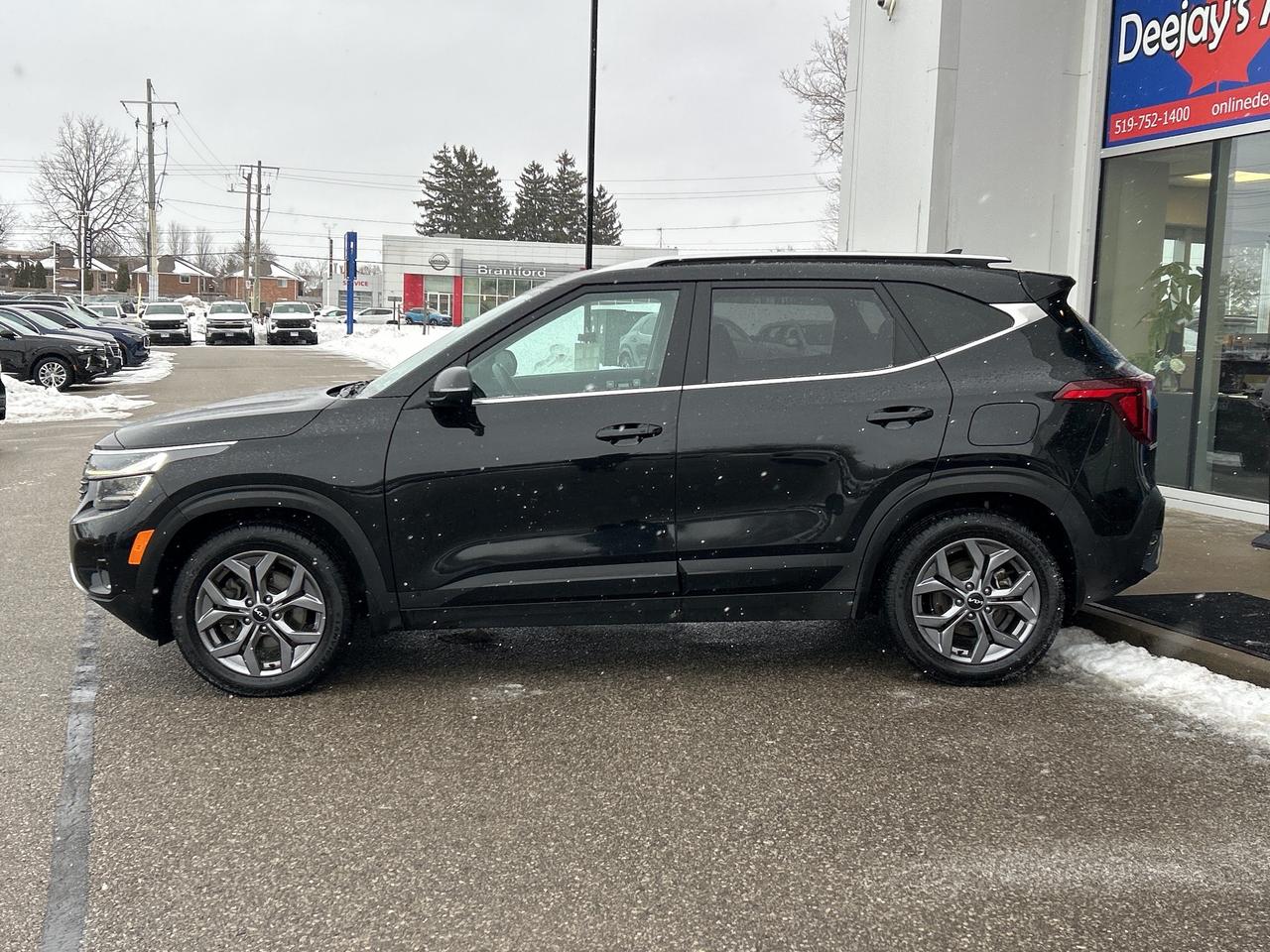 2024 Kia Seltos EX Photo