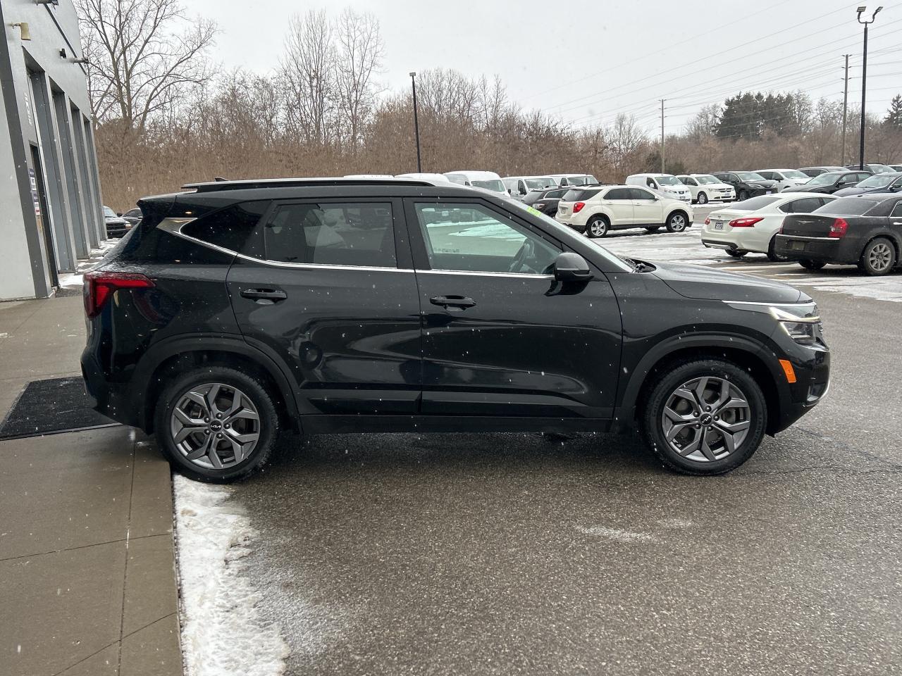 2024 Kia Seltos EX Photo