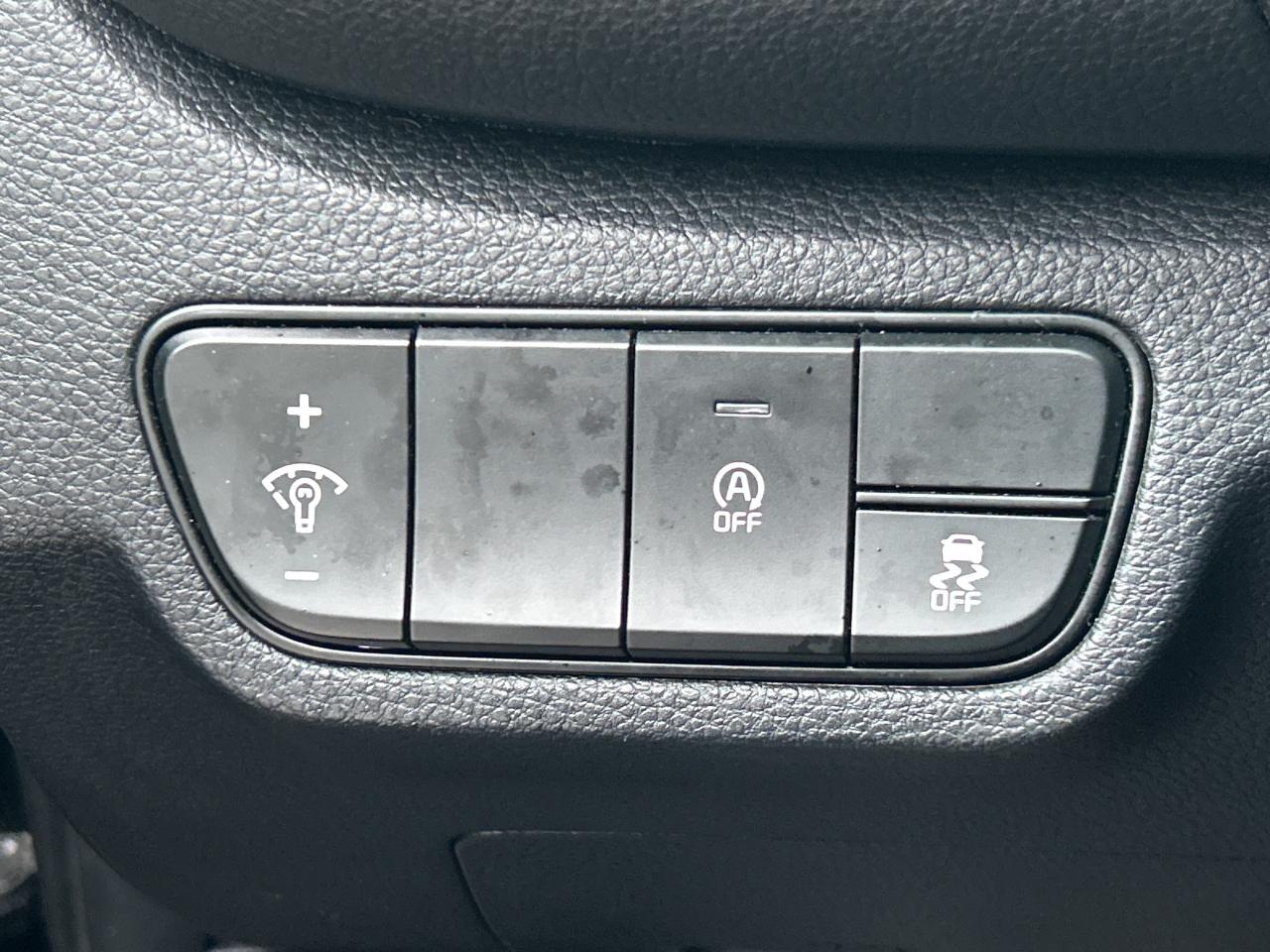 2024 Kia Seltos EX Photo