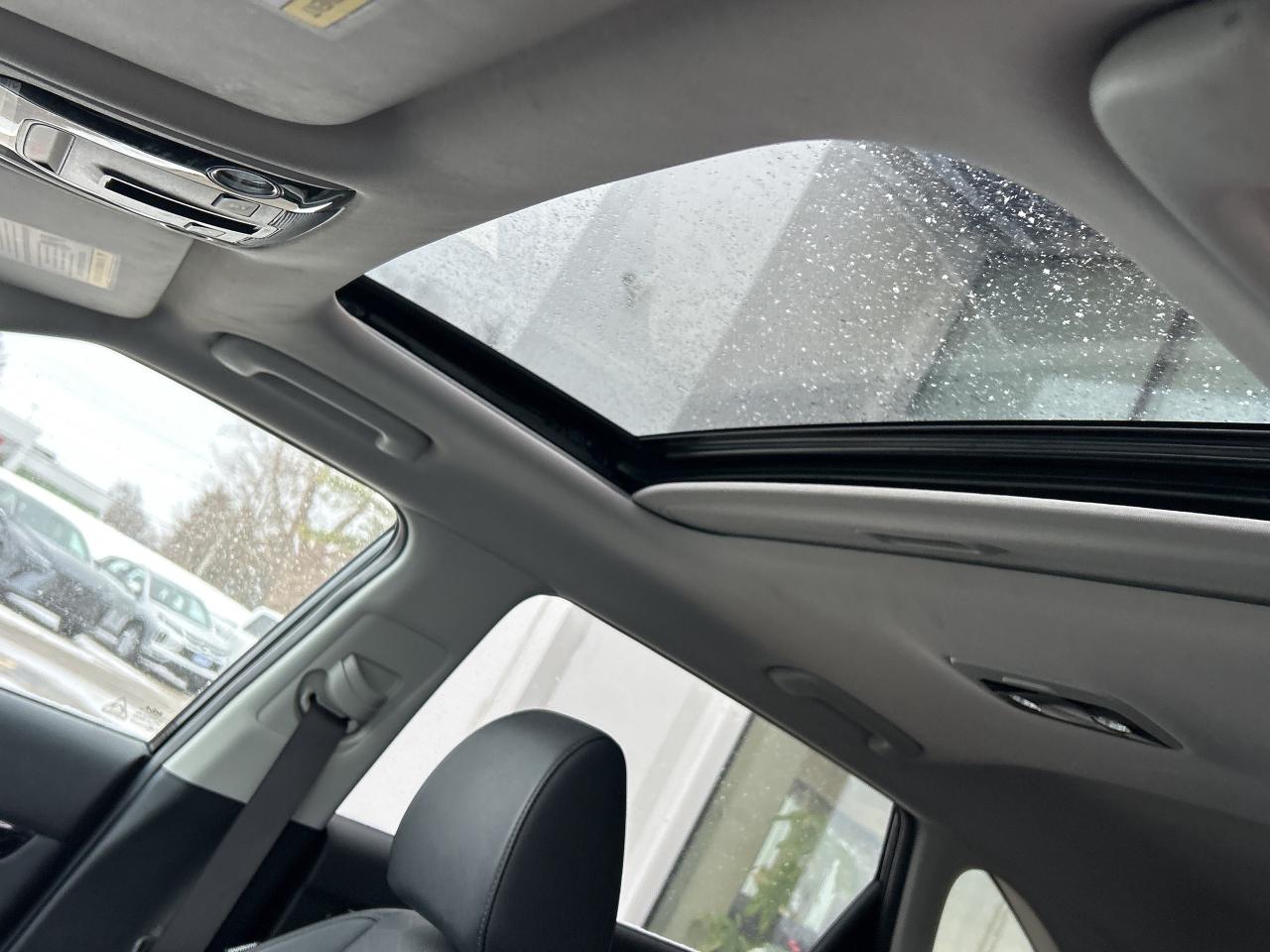 2024 Kia Seltos EX Photo