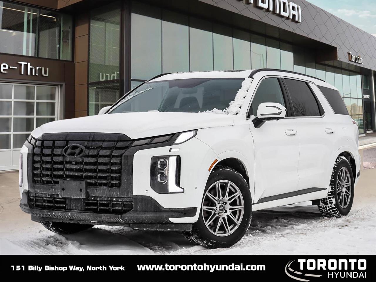 2025 Hyundai PALISADE Ultimate Calligraphy Night Photo